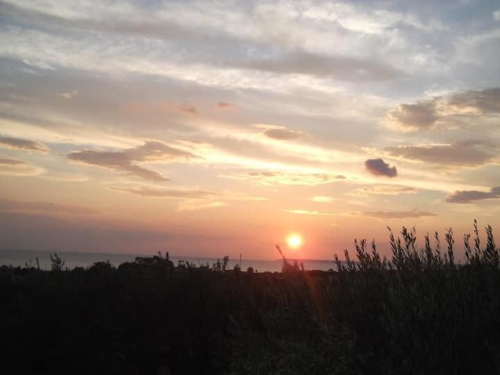 La Casina Bianca photo 5