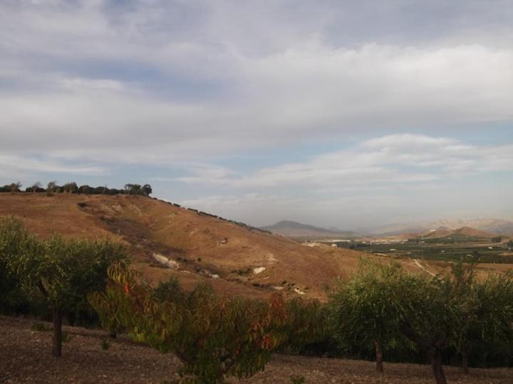 La Casina Bianca photo 2