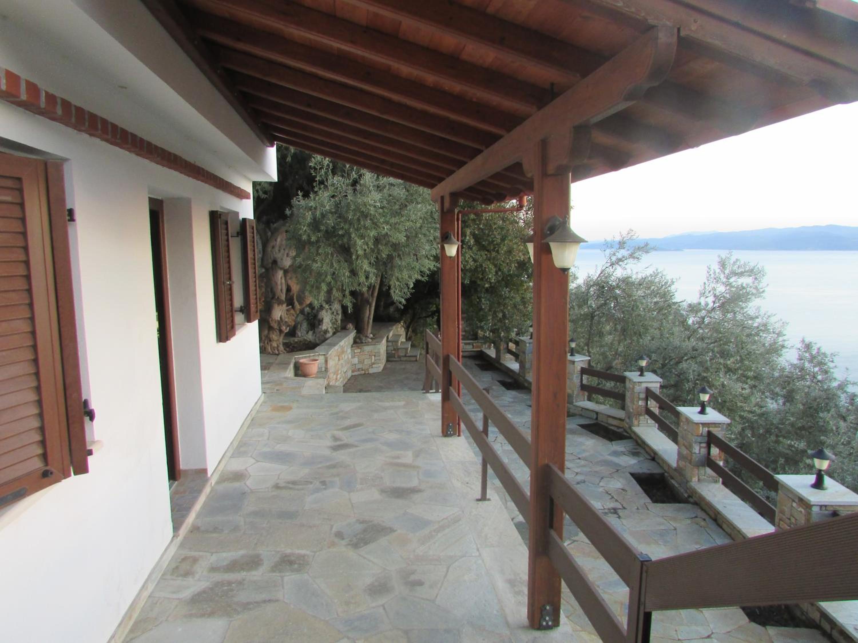 Photo 44
