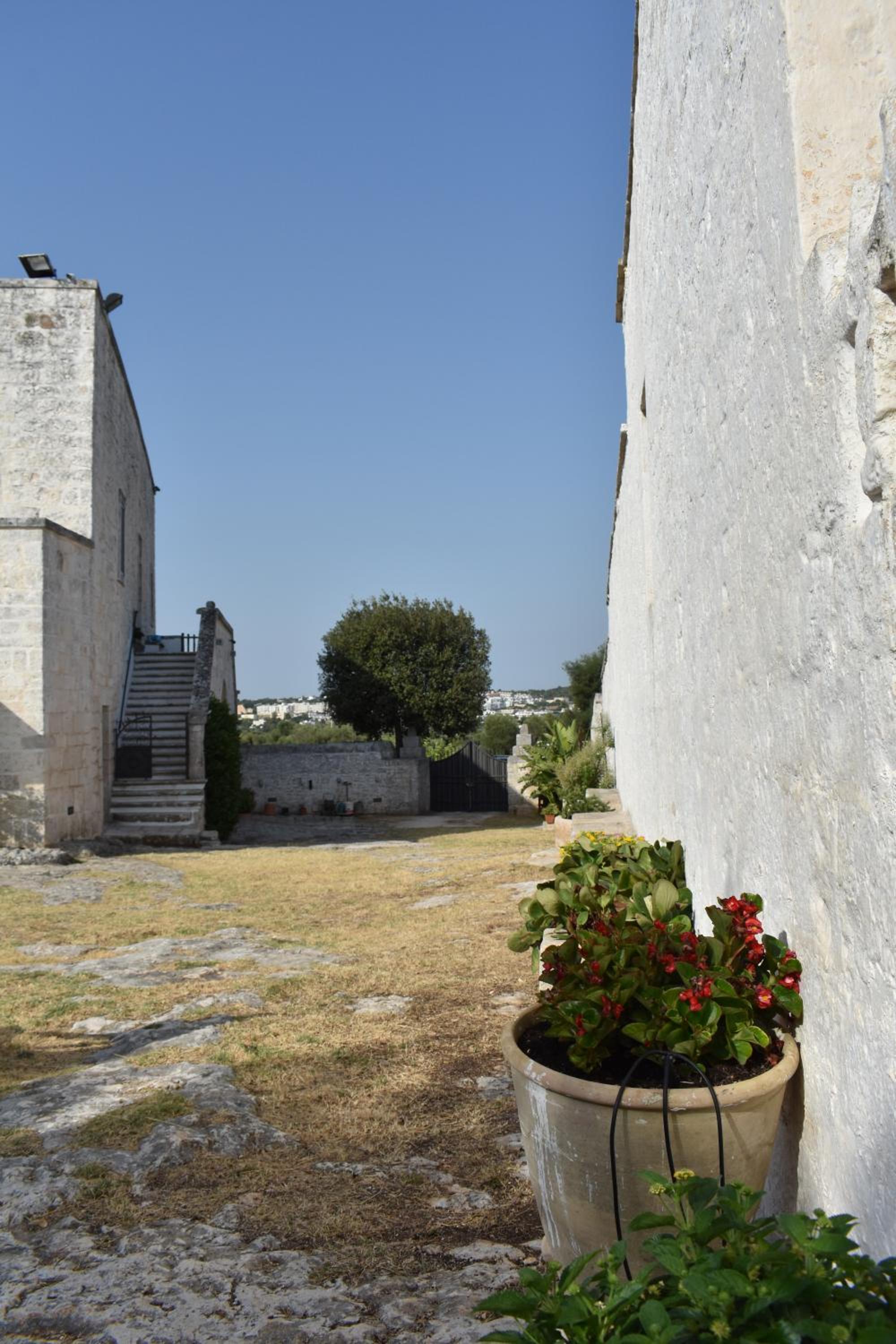 Masseria Montecchie