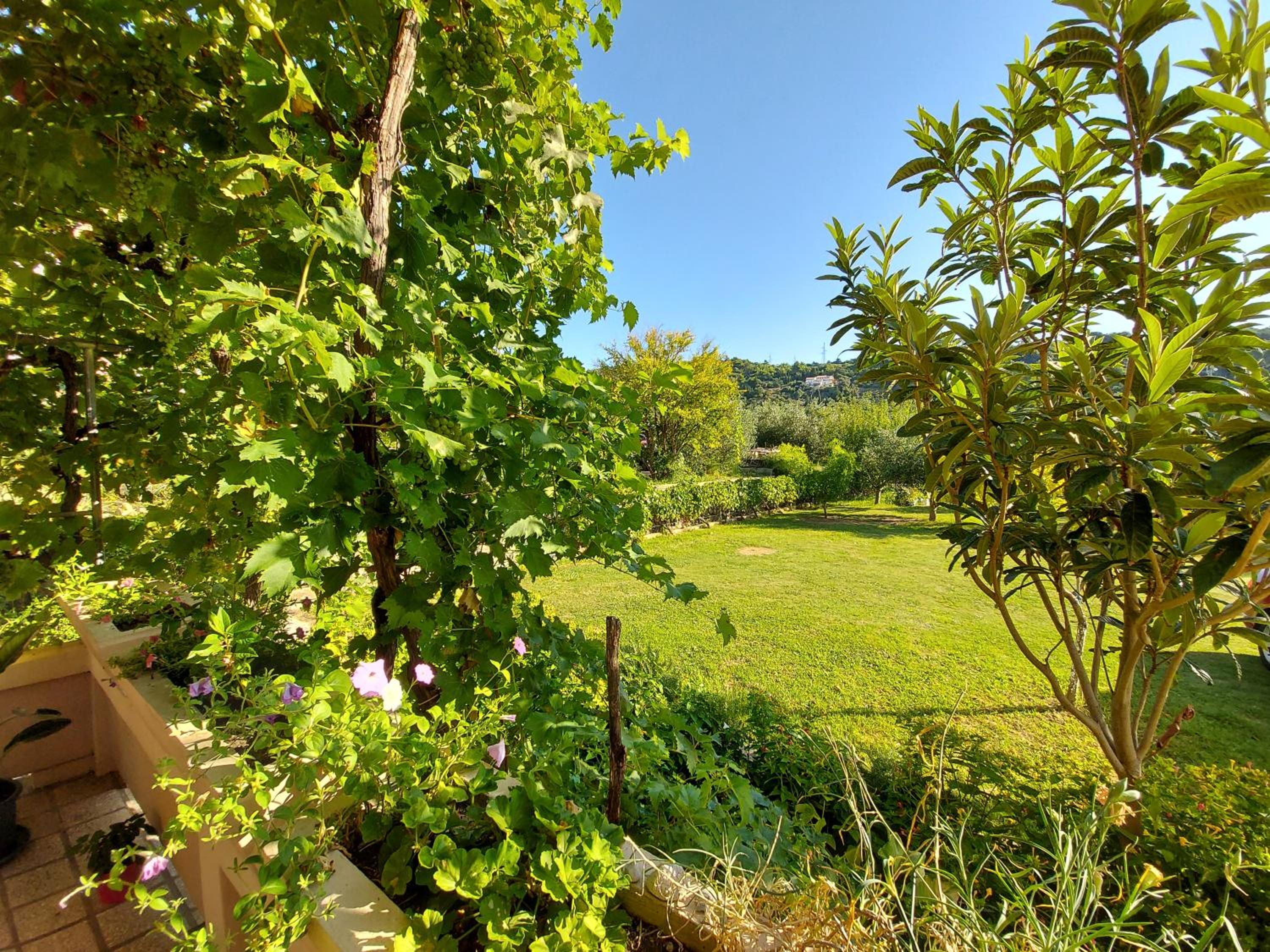 Apartman Anka view 4