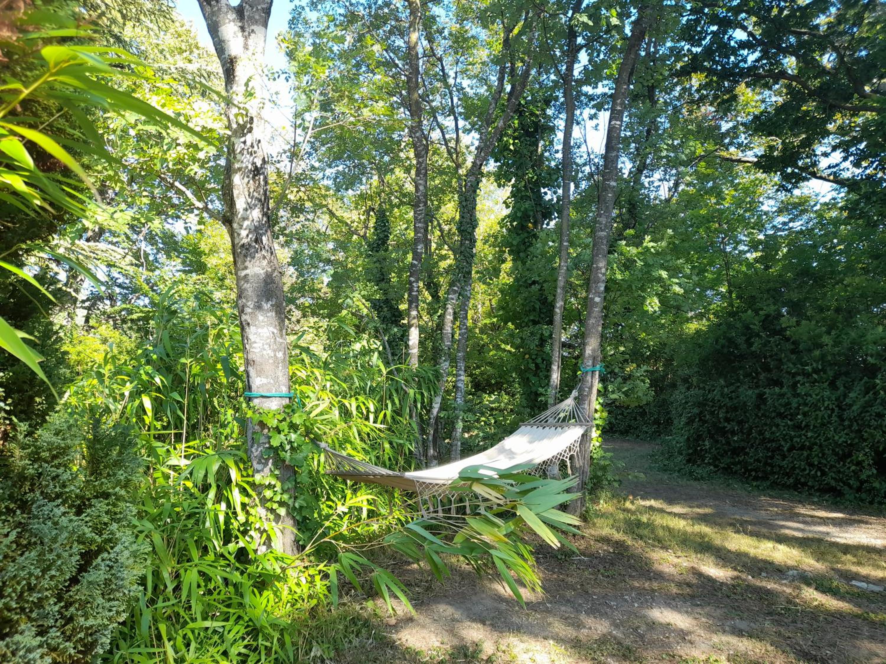 Photo 29