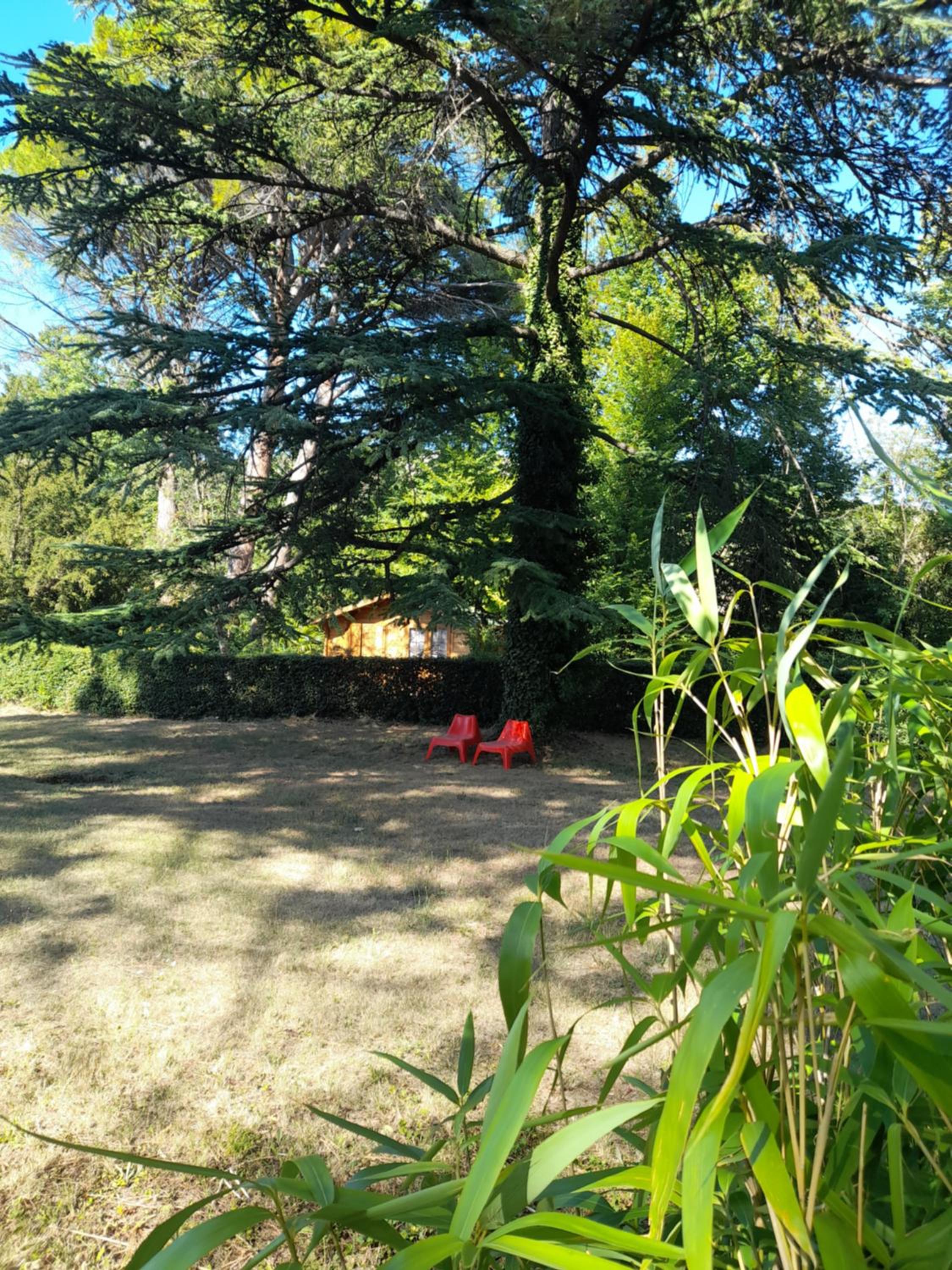 Photo 31