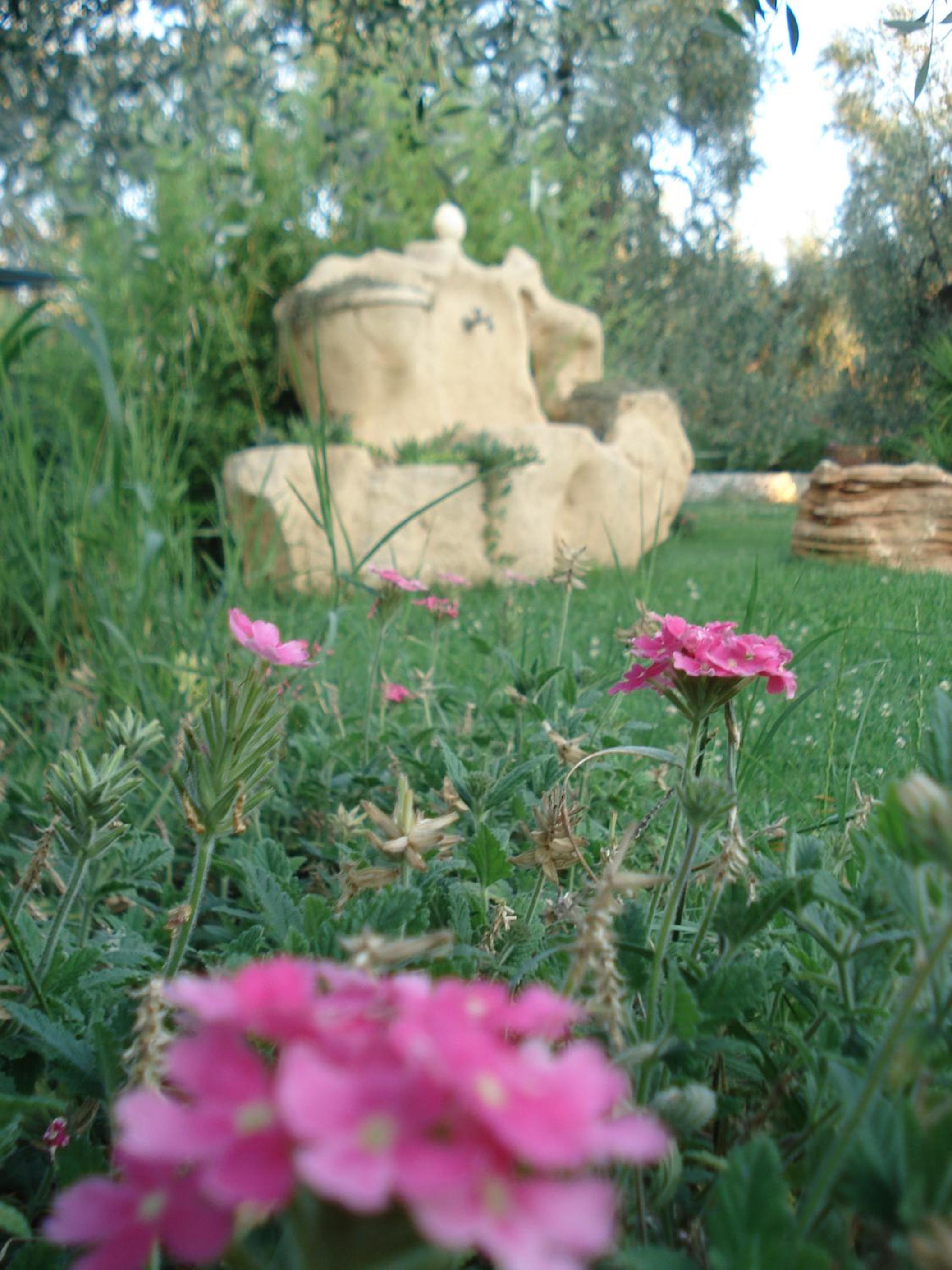 Villa Fenice Bed & Breakfast