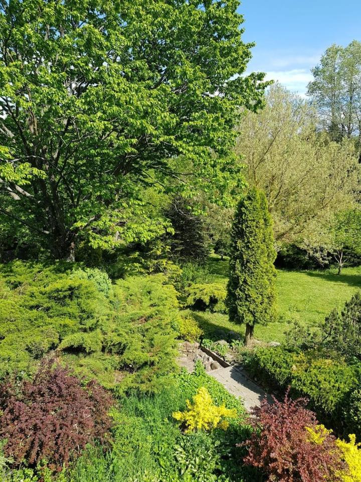 Domek w otulinie Wigierskiego Parku Narodowego view 3