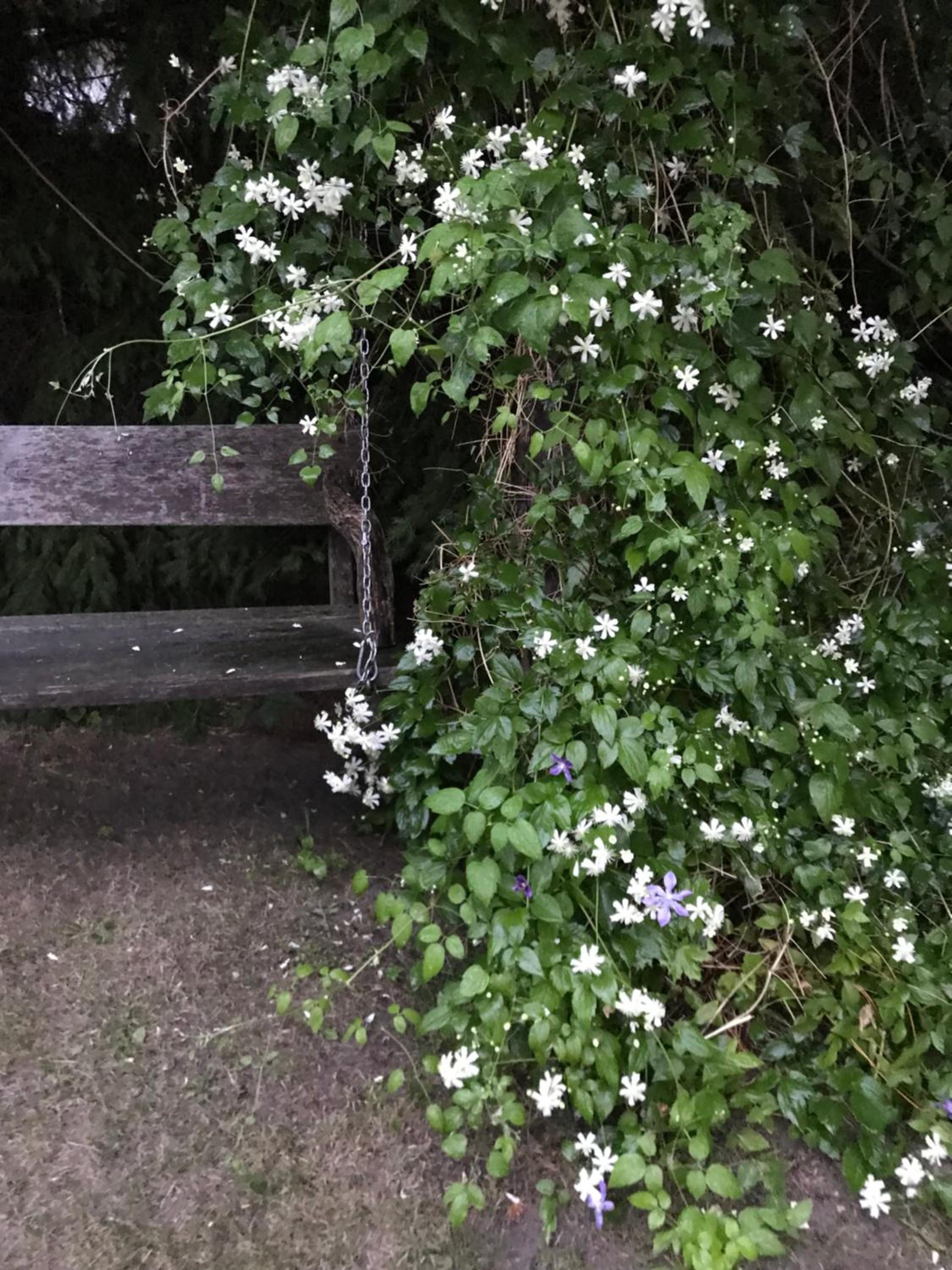 Noclegi na Mazurach.