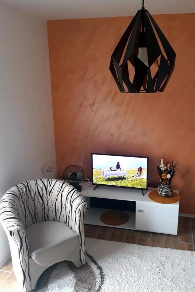 RADOVIĆ Apartment view 3