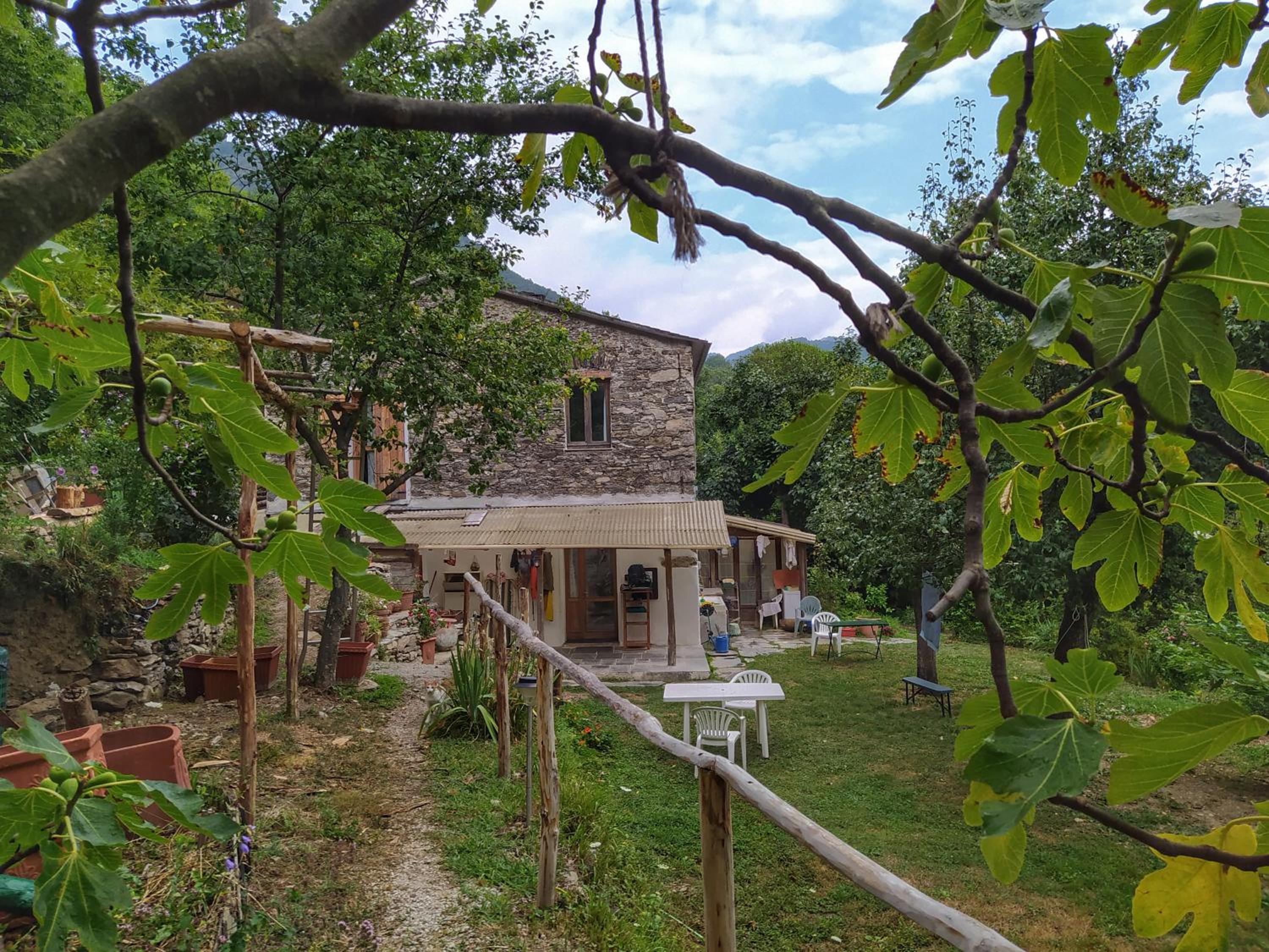 Photo 26