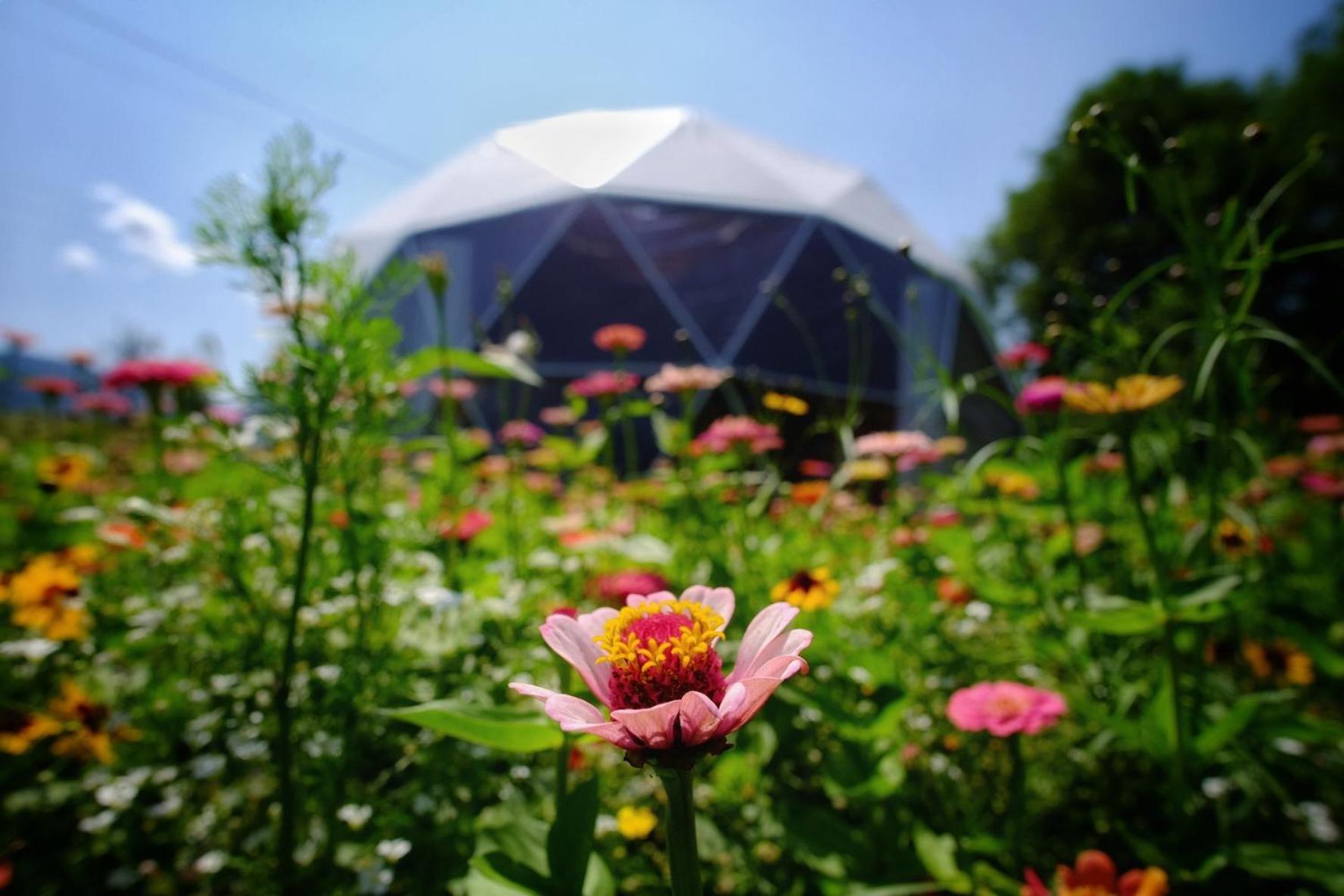 That's life Glamping - Dolomite Experience photo 3