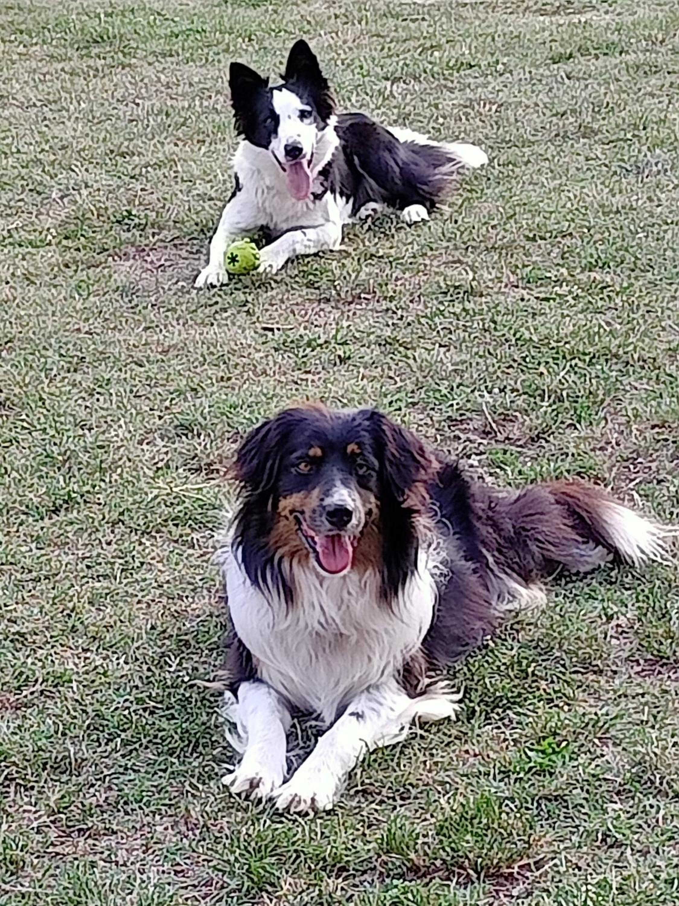 B&B Cascina Sant'Elena photo 3