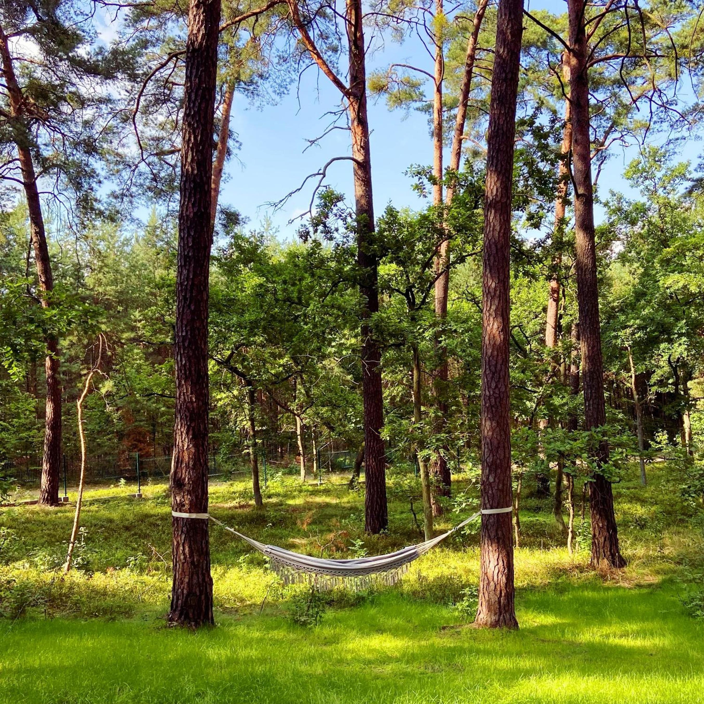 Planeta Glamping