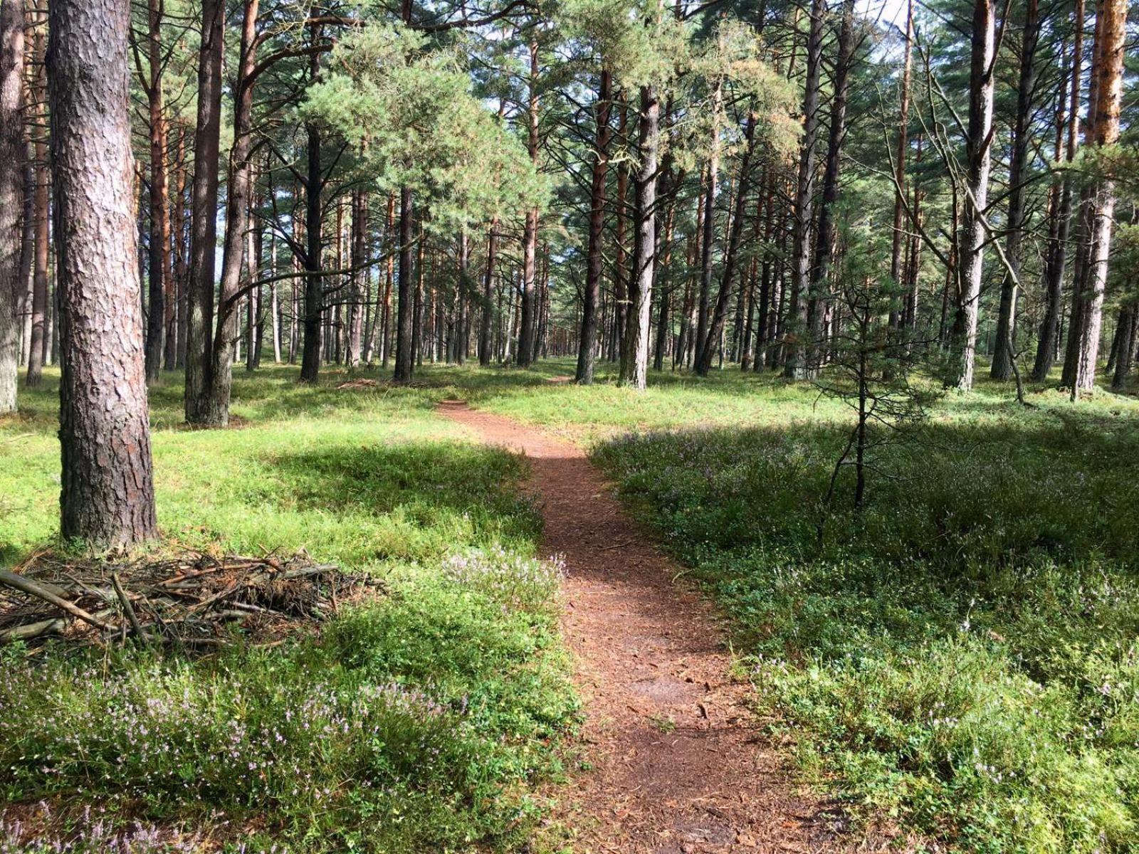 Photo 29