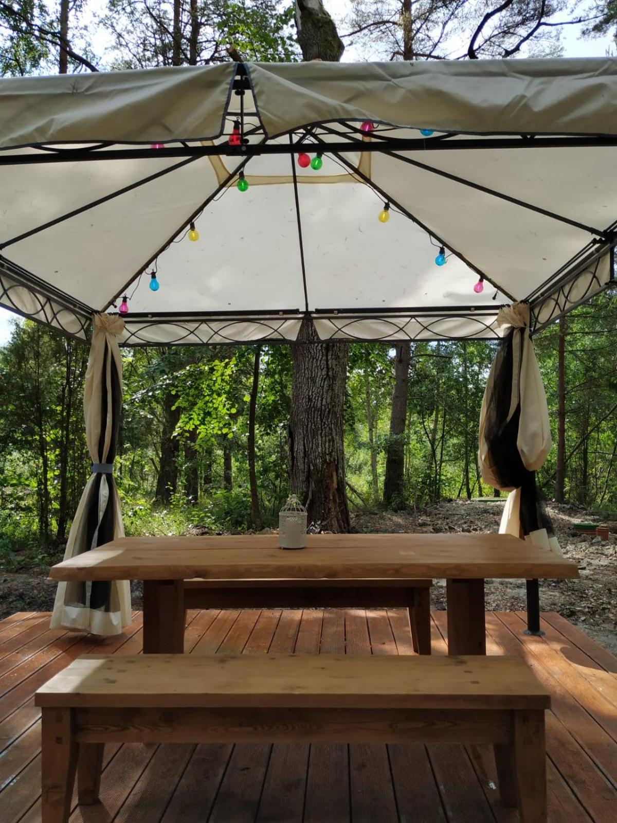 Forest Hut