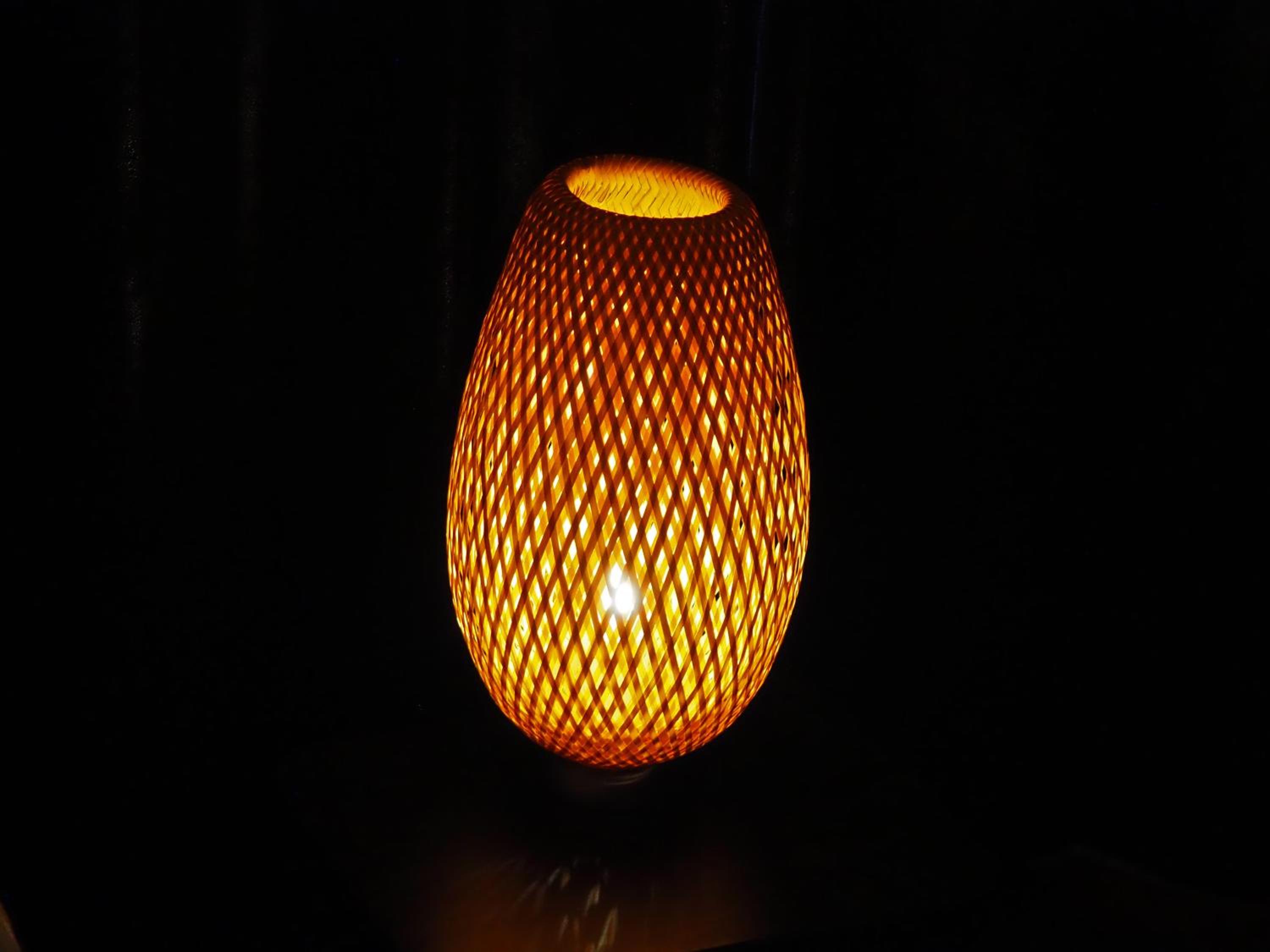 Photo 41