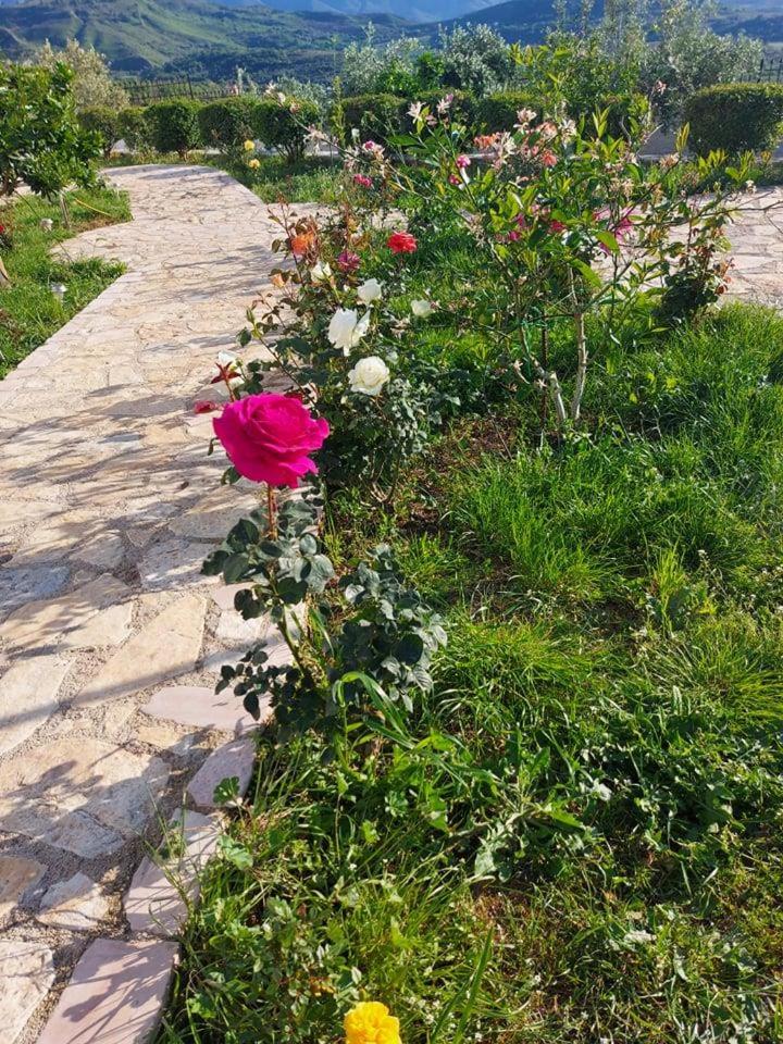 Vlore Casa Vacanze