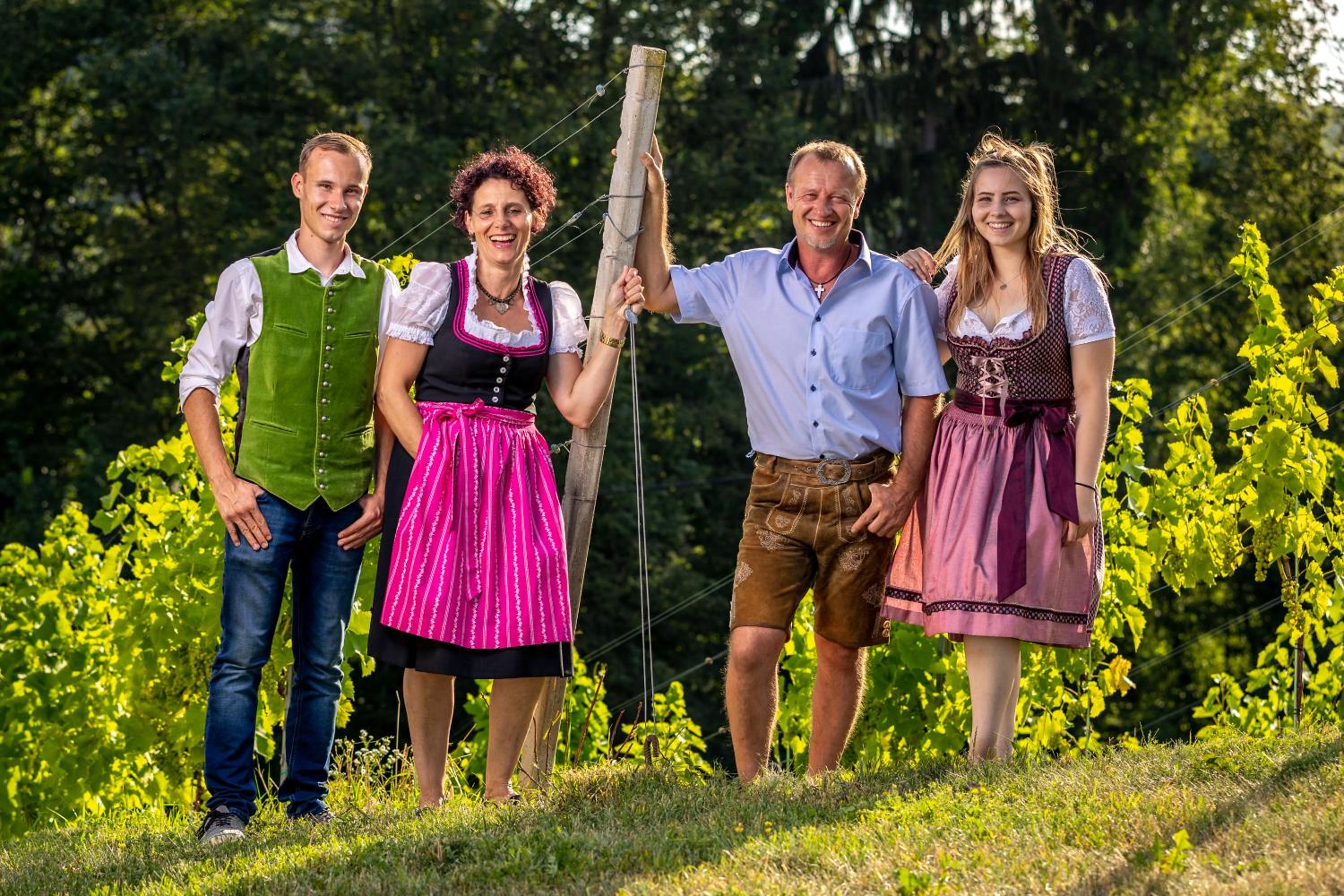 Weingut-Gästehaus Birnstingl
