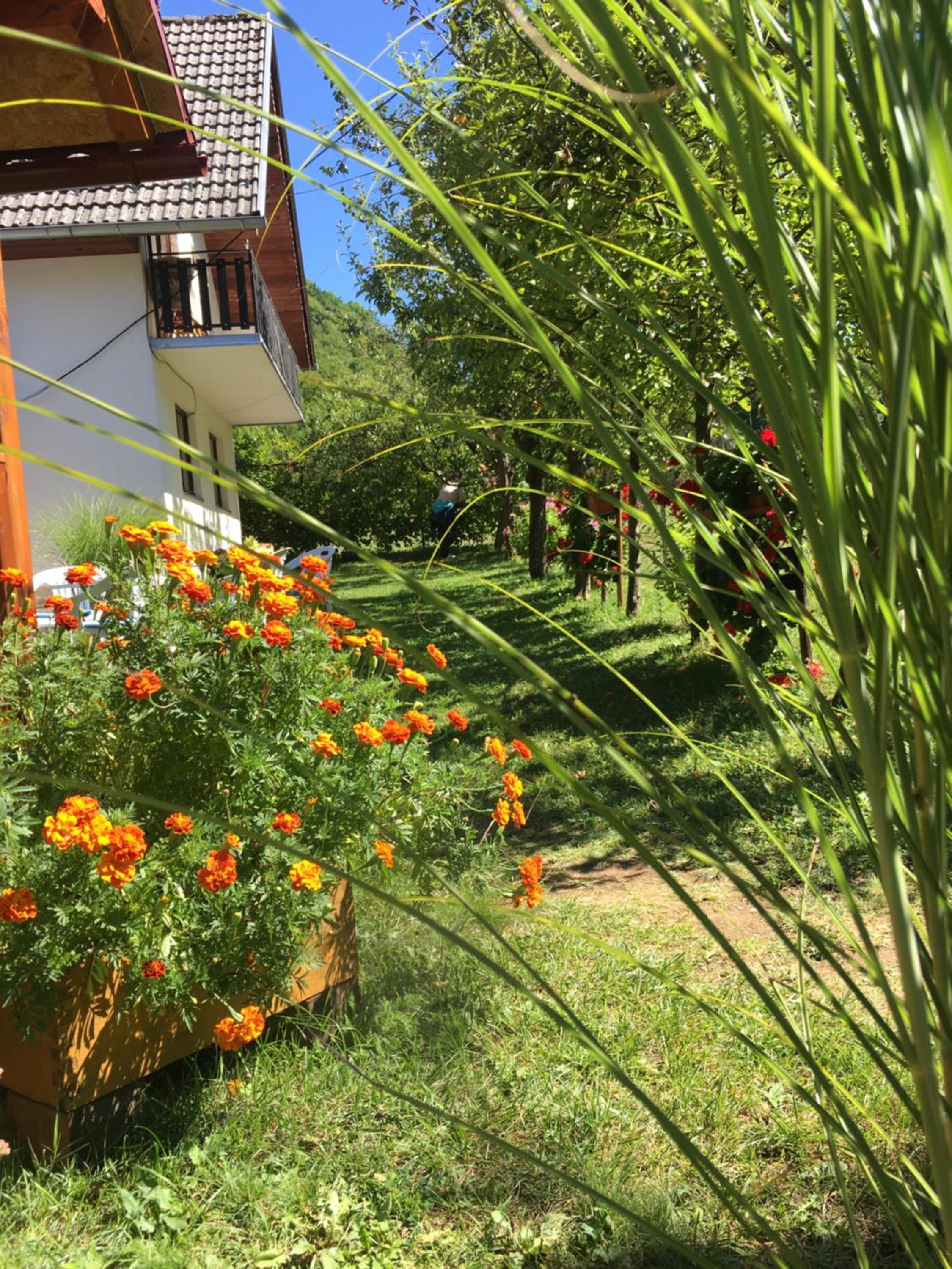 Domacinstvo Ubovic