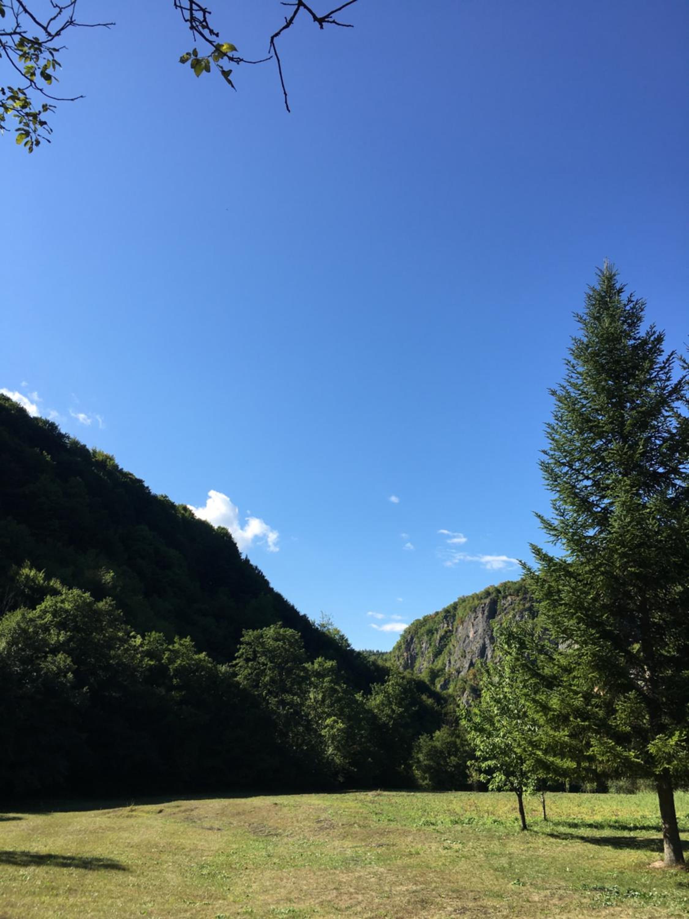 Domacinstvo Ubovic