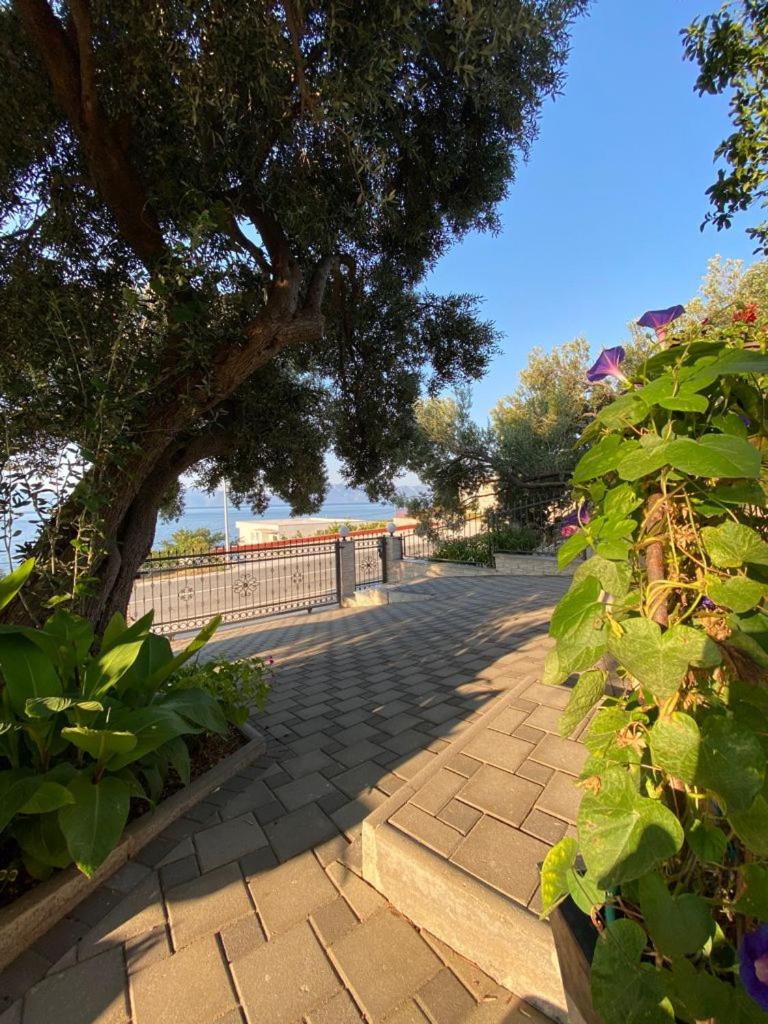 Tole Villa Podaca 2 with heated Pool view 3