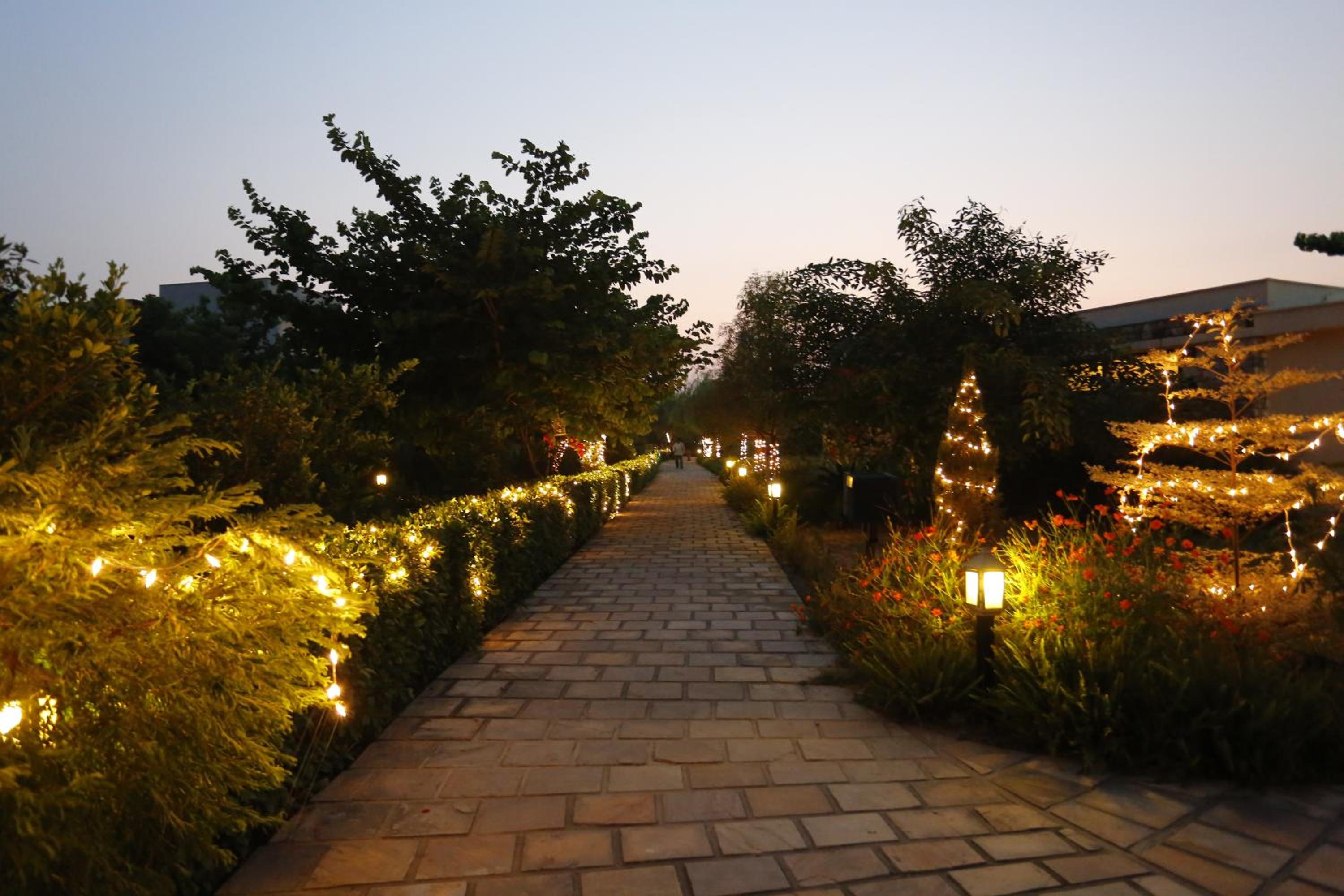garden