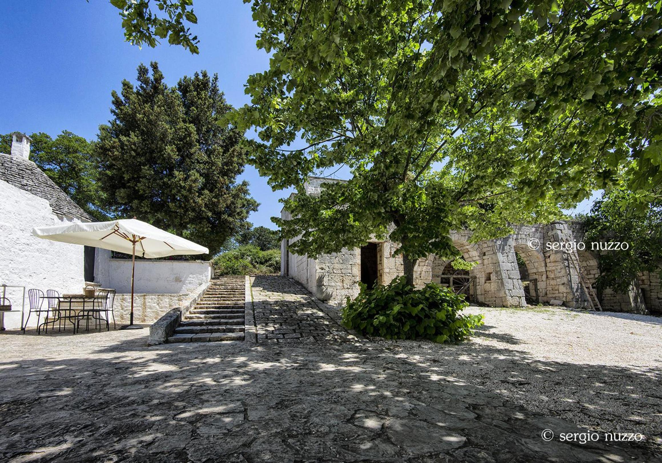 Photo 43