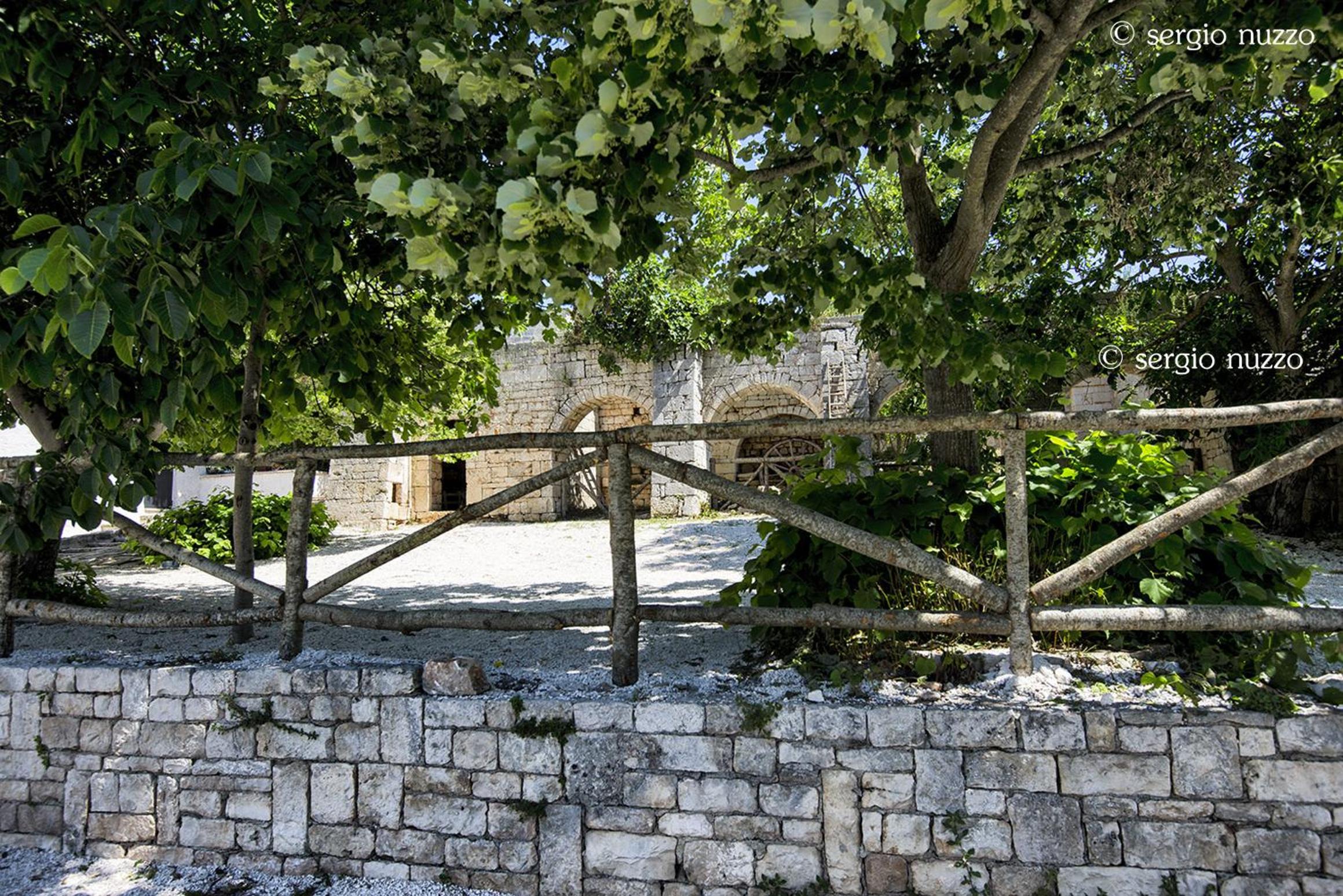 Photo 44