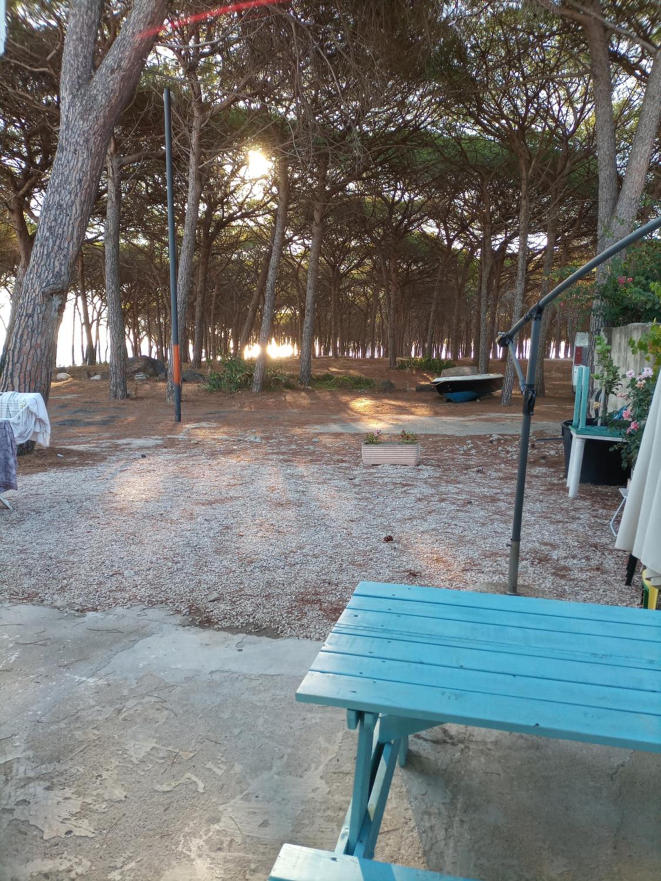IL CORALLO di SANTA LUCIA photo 2