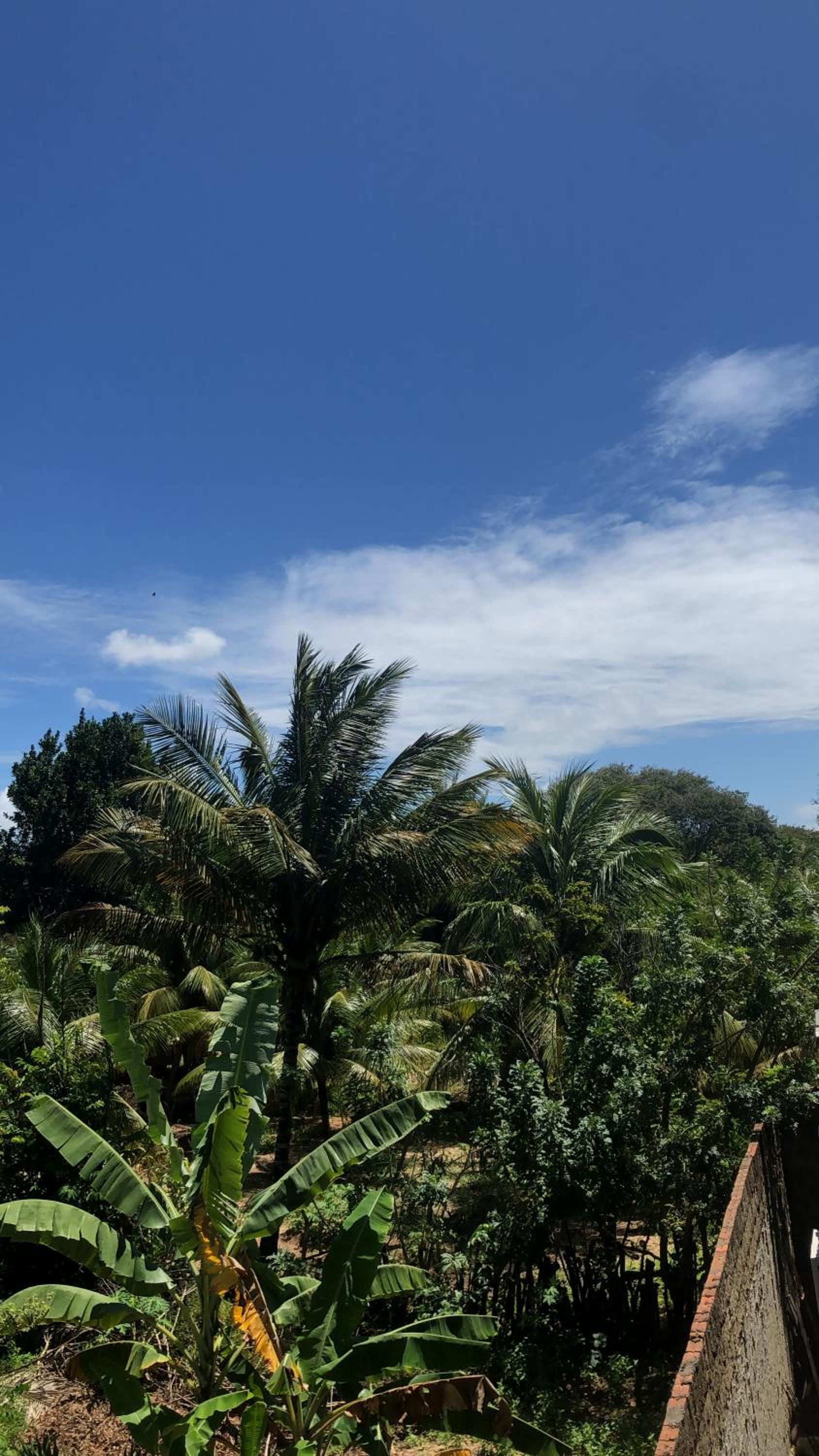 Casa Paradise Pipa