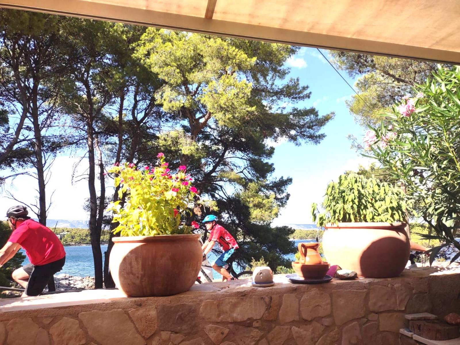 Stone Villa Hvar Ana and Nikola Beachfront
