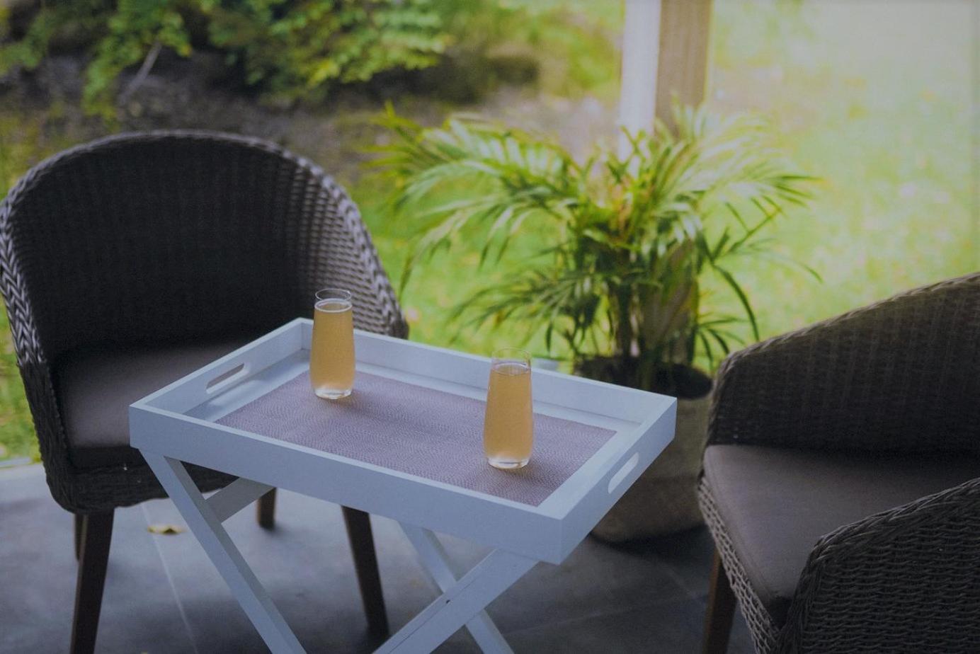 Palm Grove Rainforest Retreat