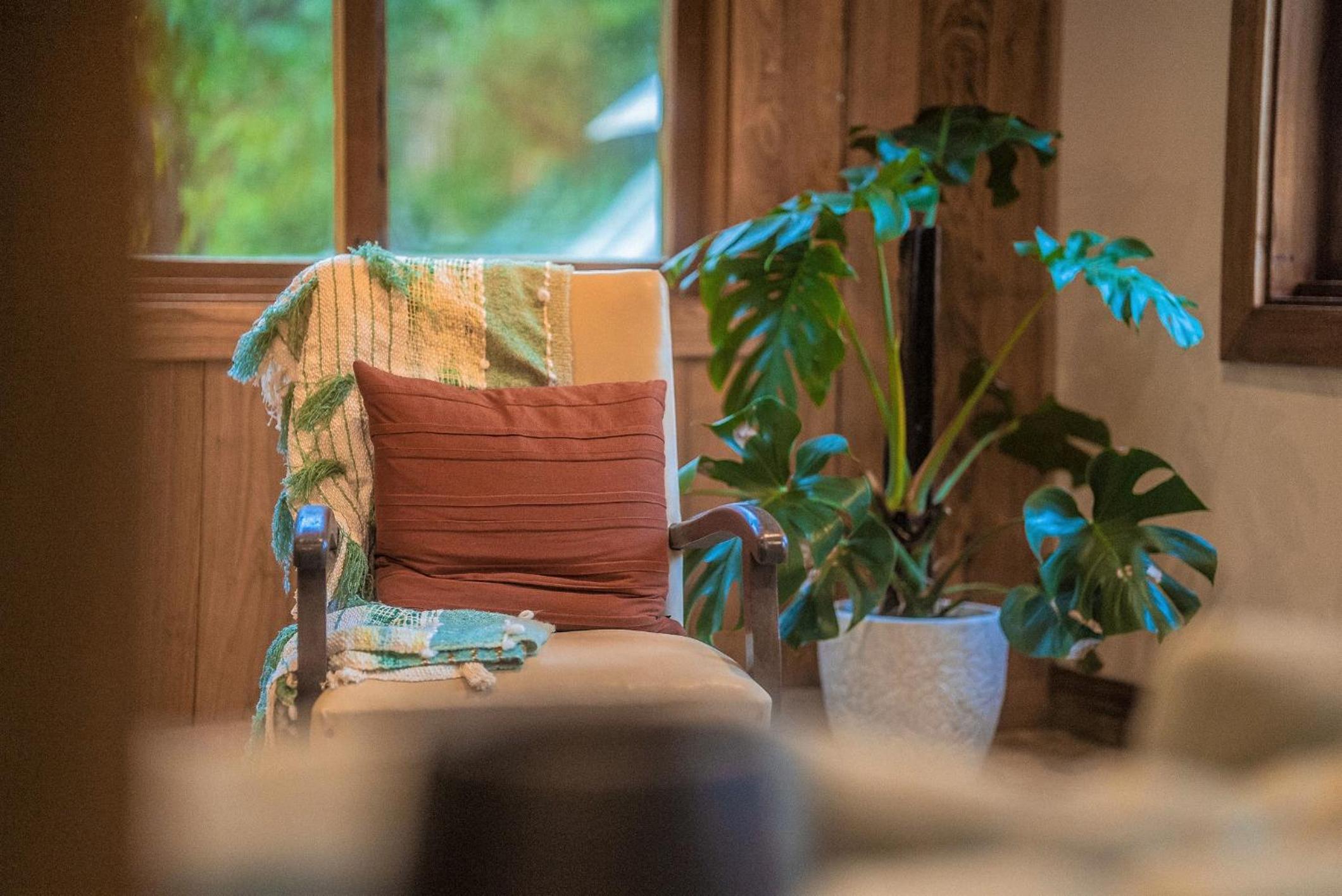Palm Grove Rainforest Retreat