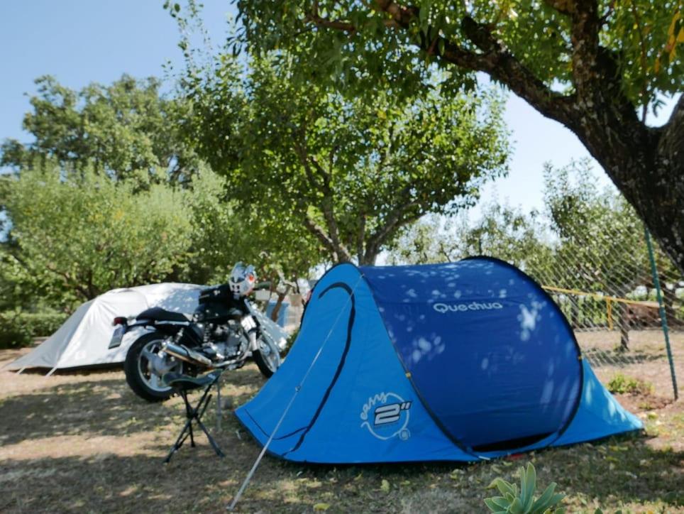 Al Bosco delle Api