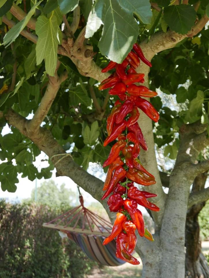 Al Bosco delle Api