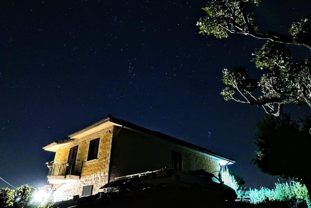 Al Bosco delle Api