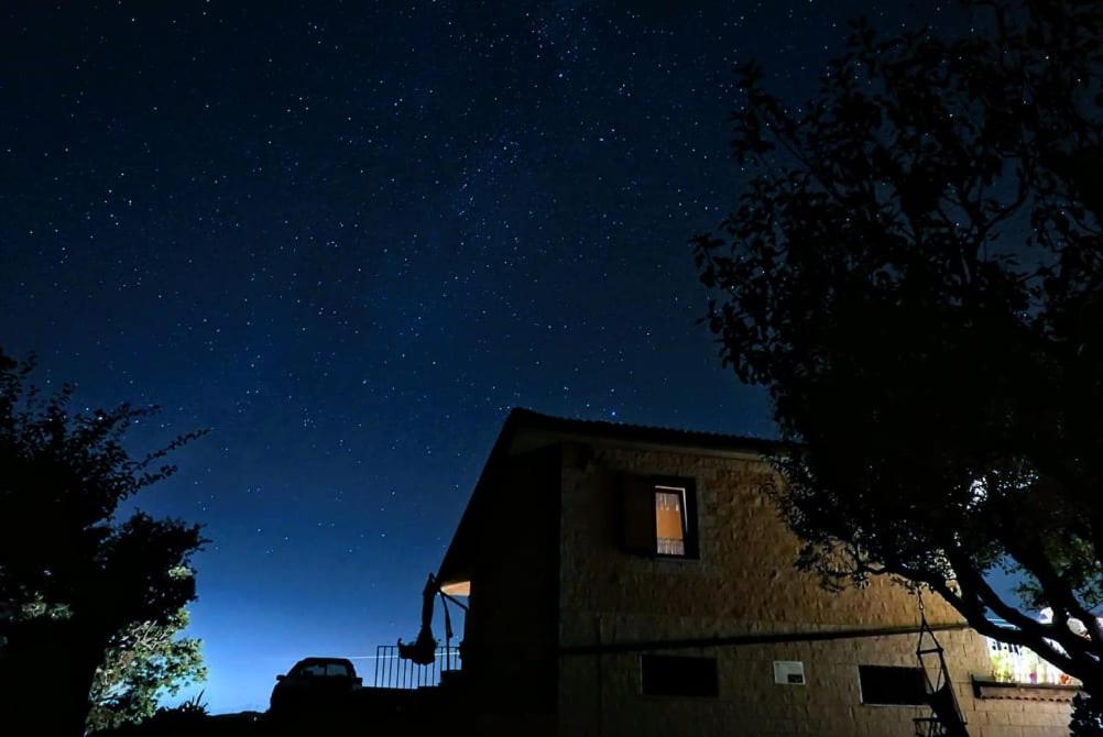 Al Bosco delle Api
