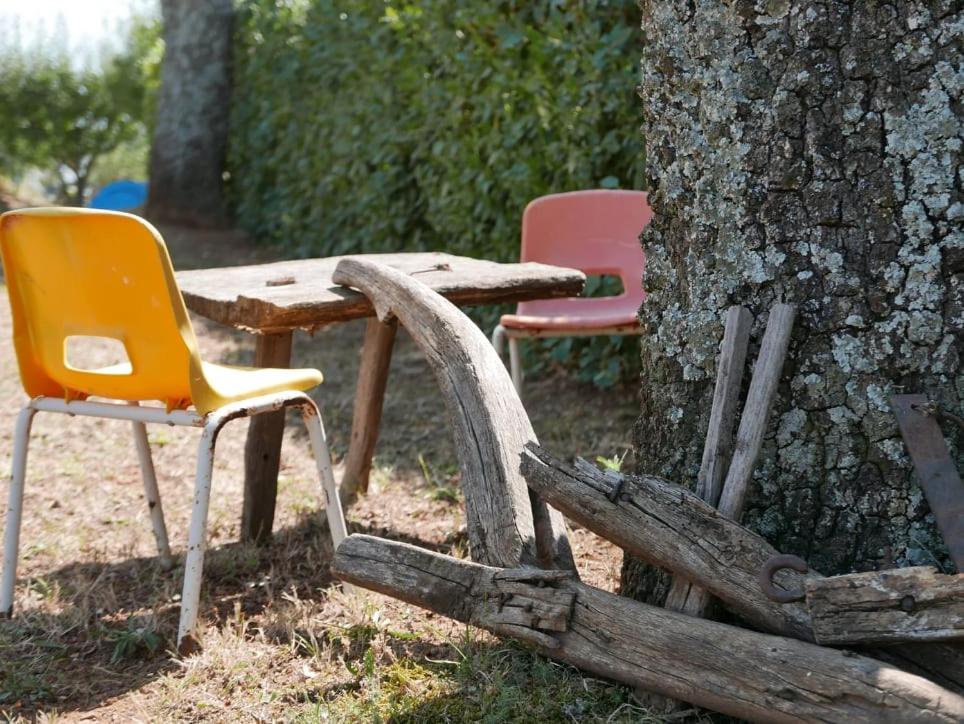 Al Bosco delle Api