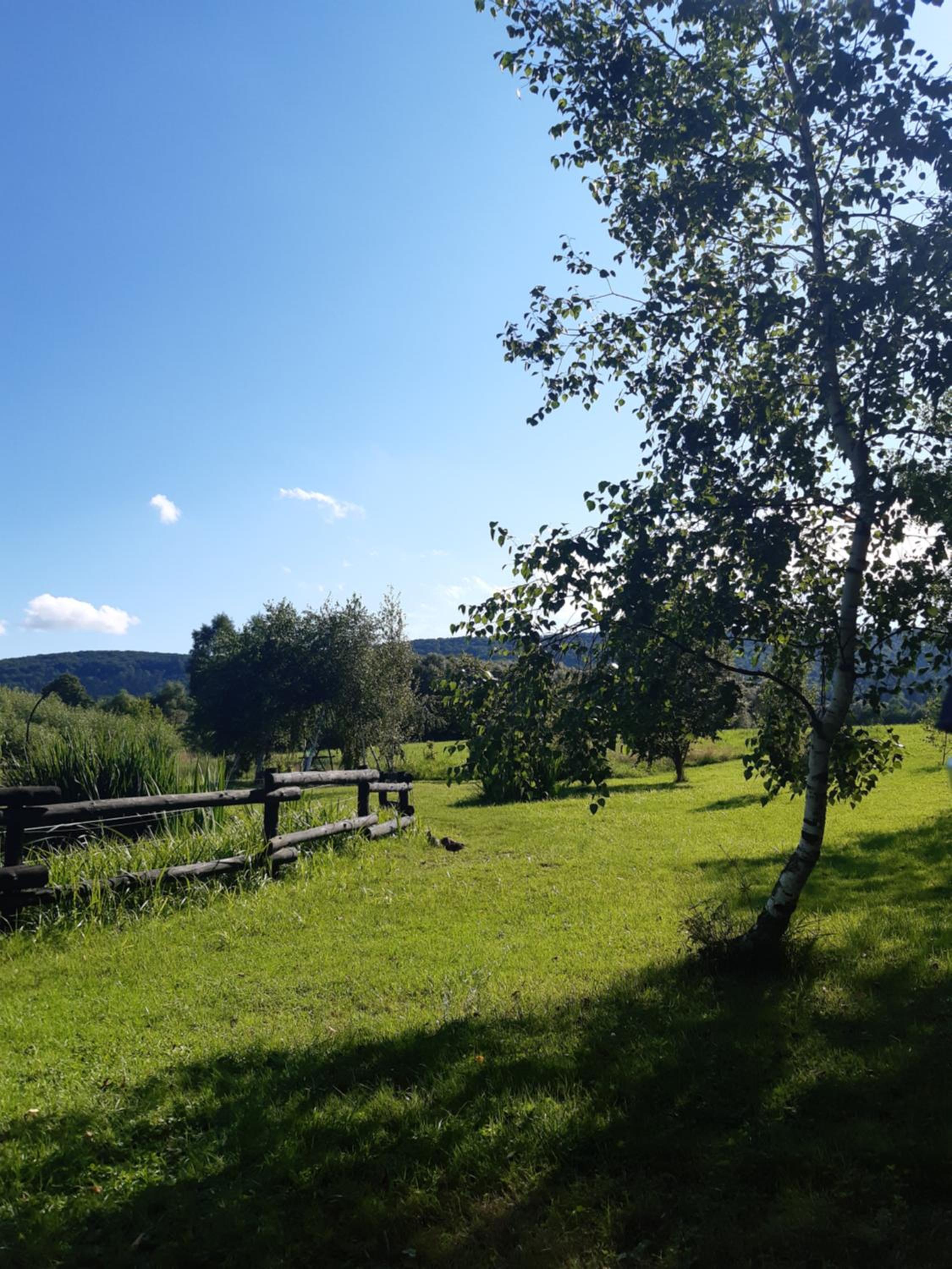 Bies Czadowy Zakątek view 5