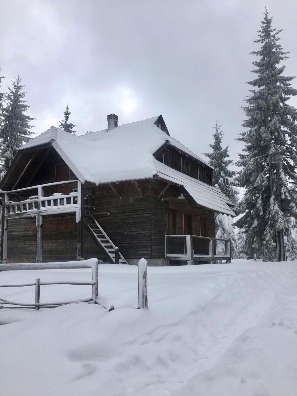 Apartman Mendrea