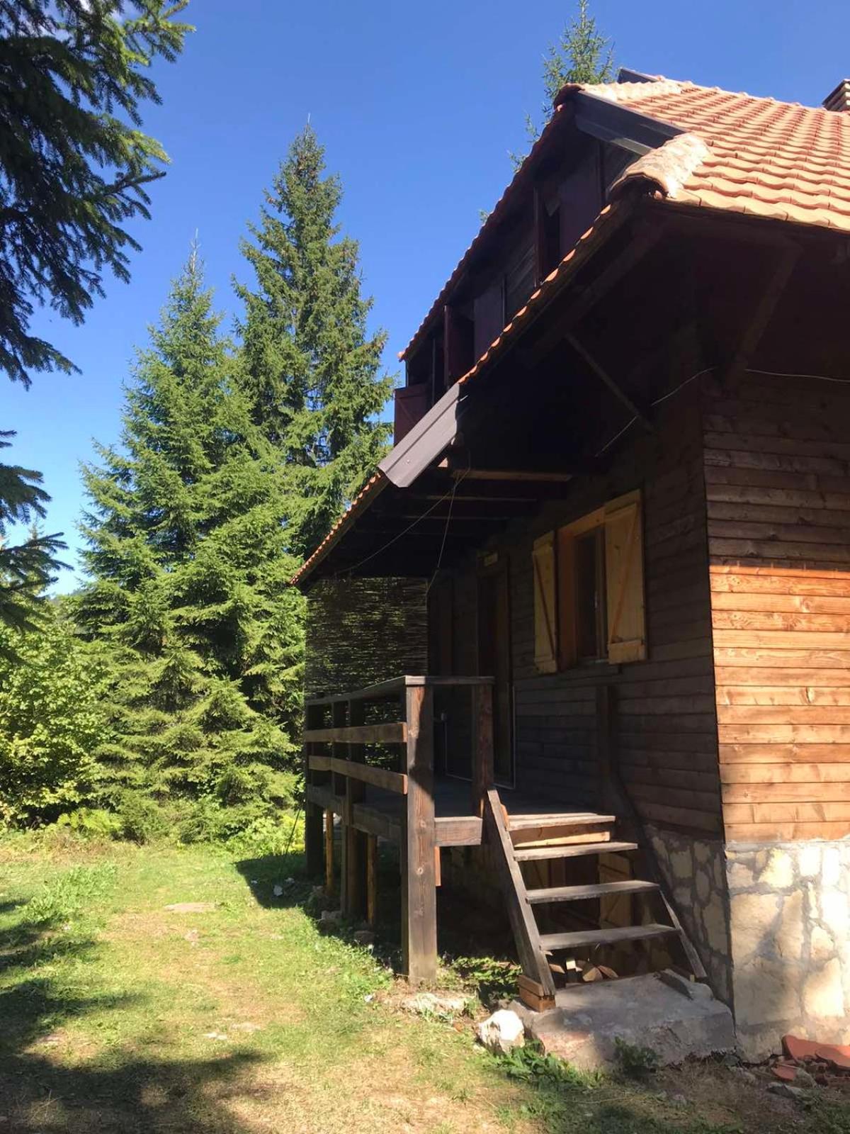 Photo 18