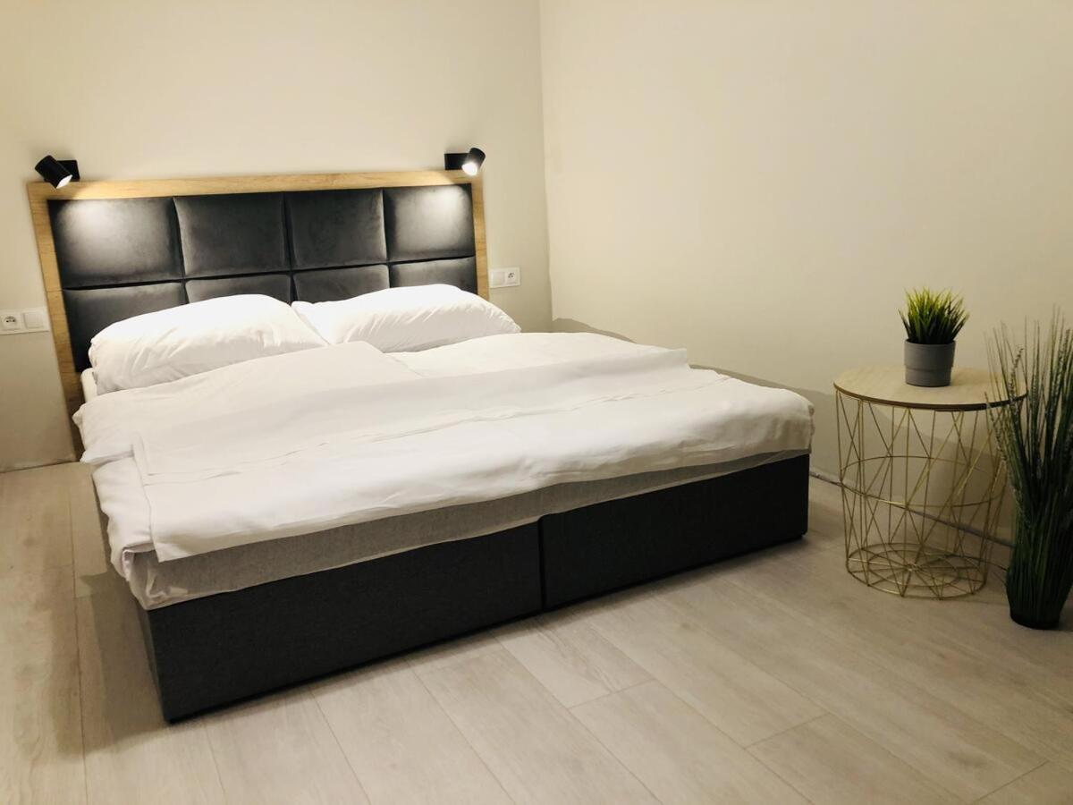 APARTAMENT MIERZYN view 4