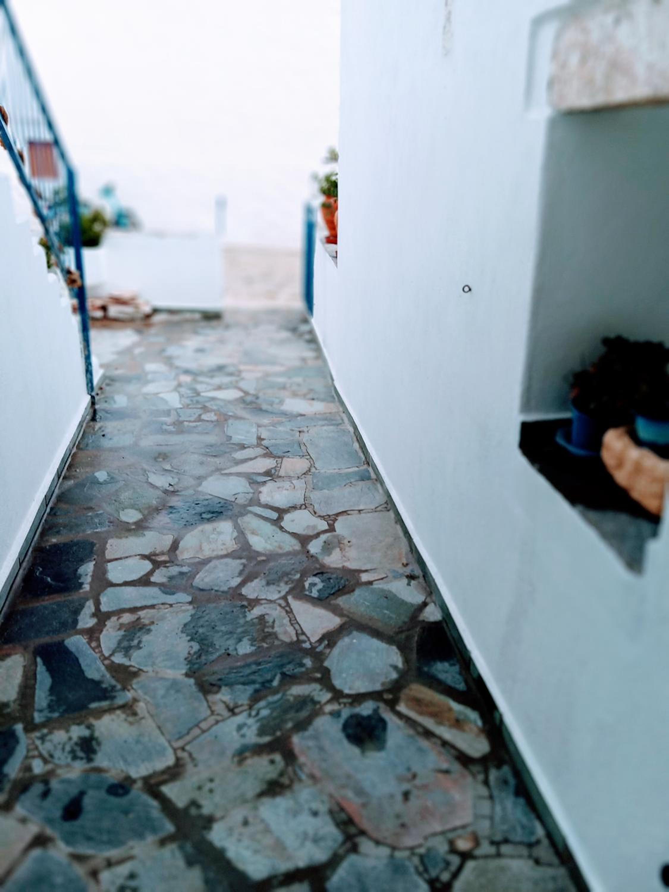 Argyro's House