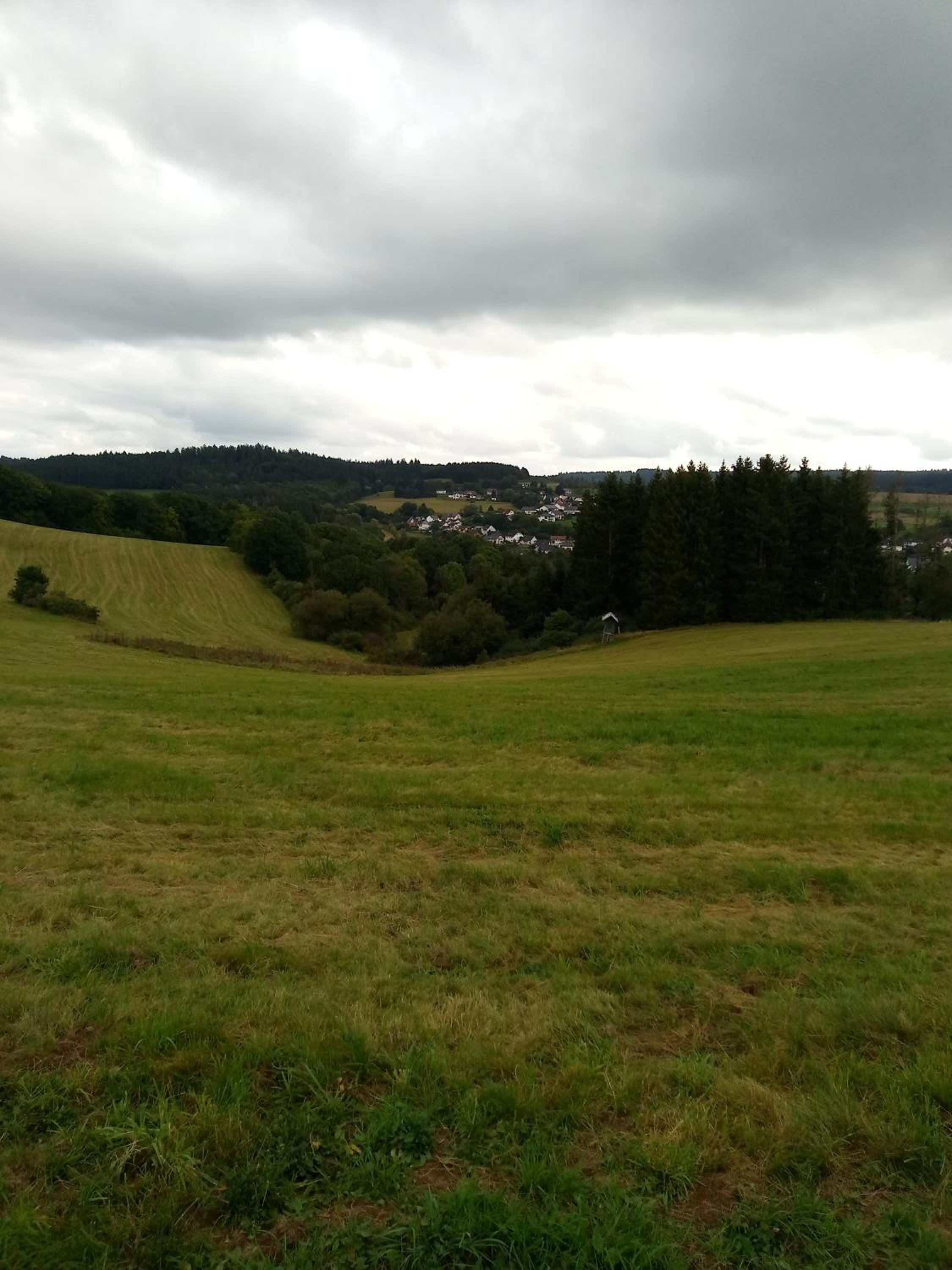 Photo 37