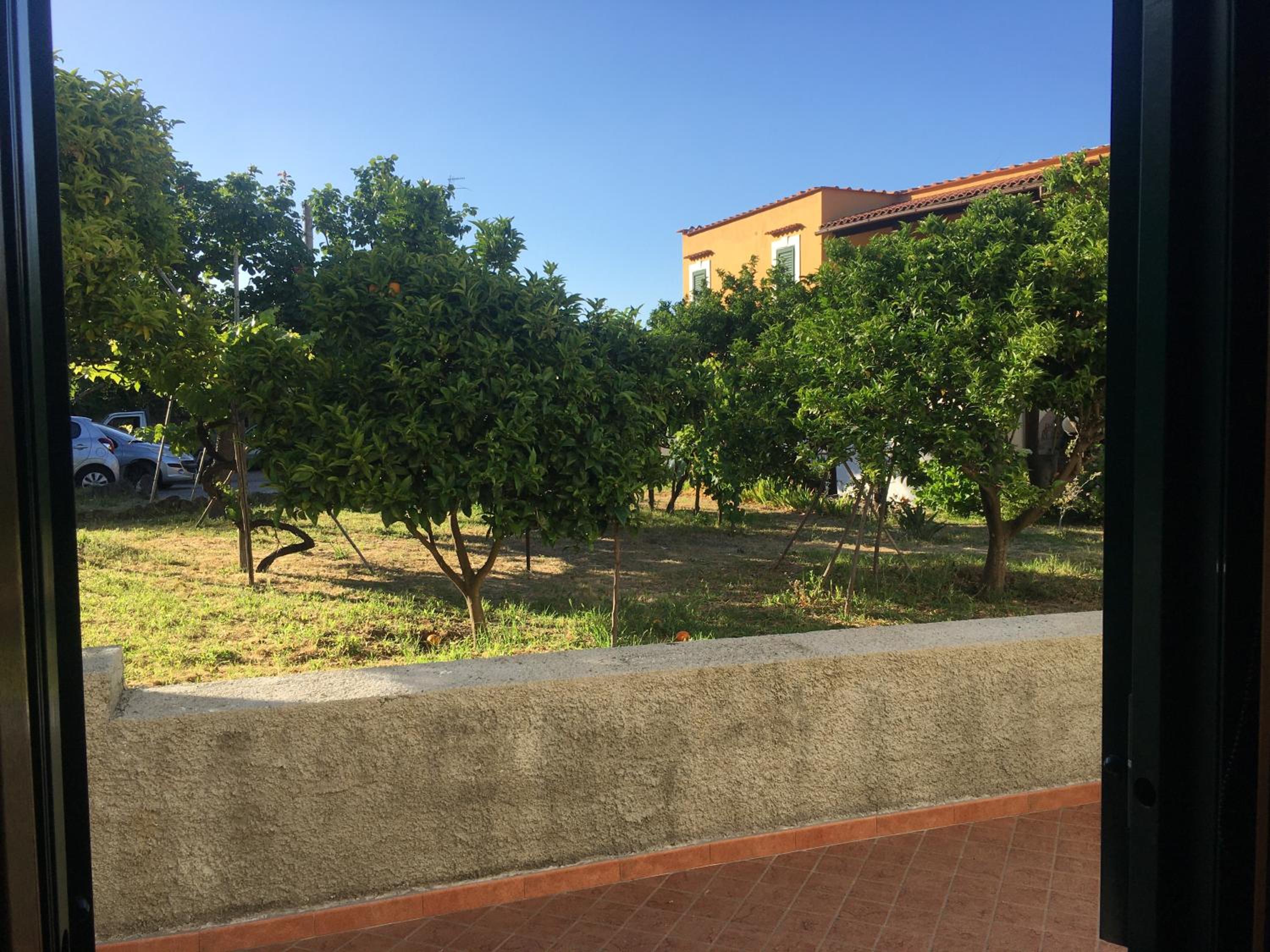La finestra sul giardino