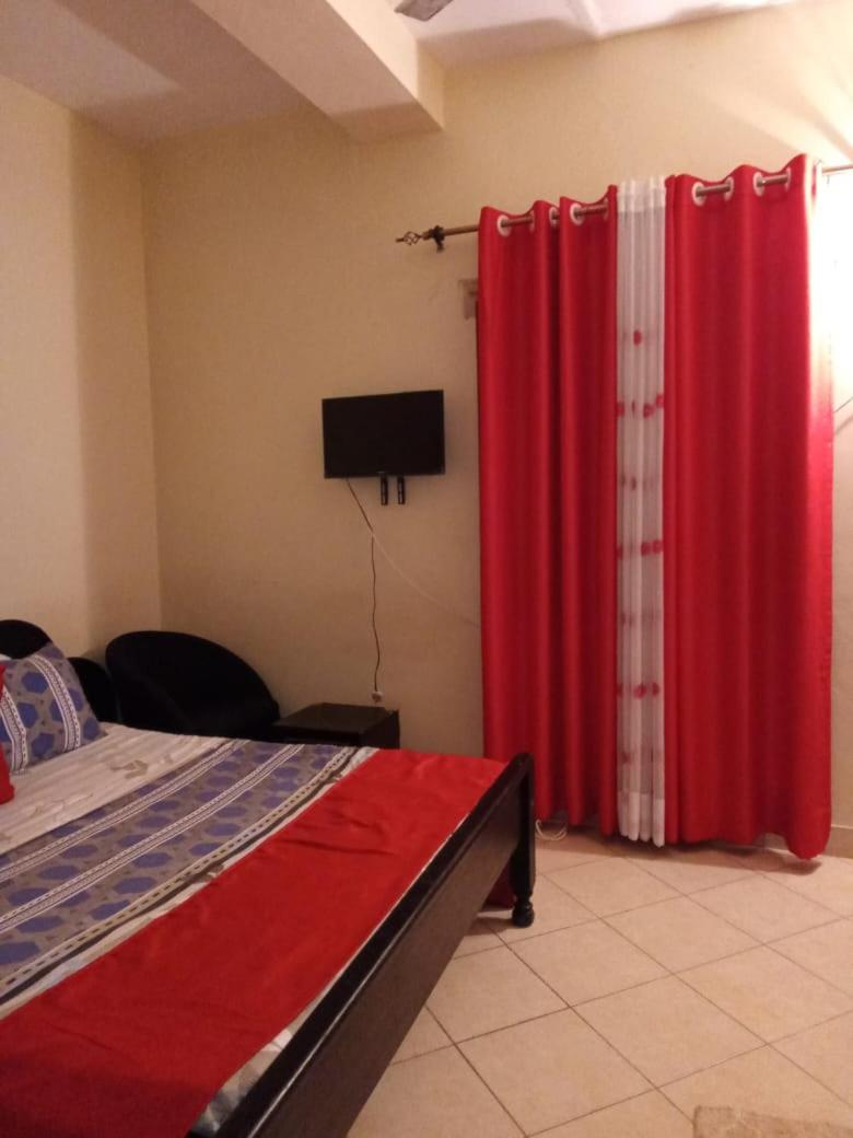 Warm and Homely Studio Apartment view 4