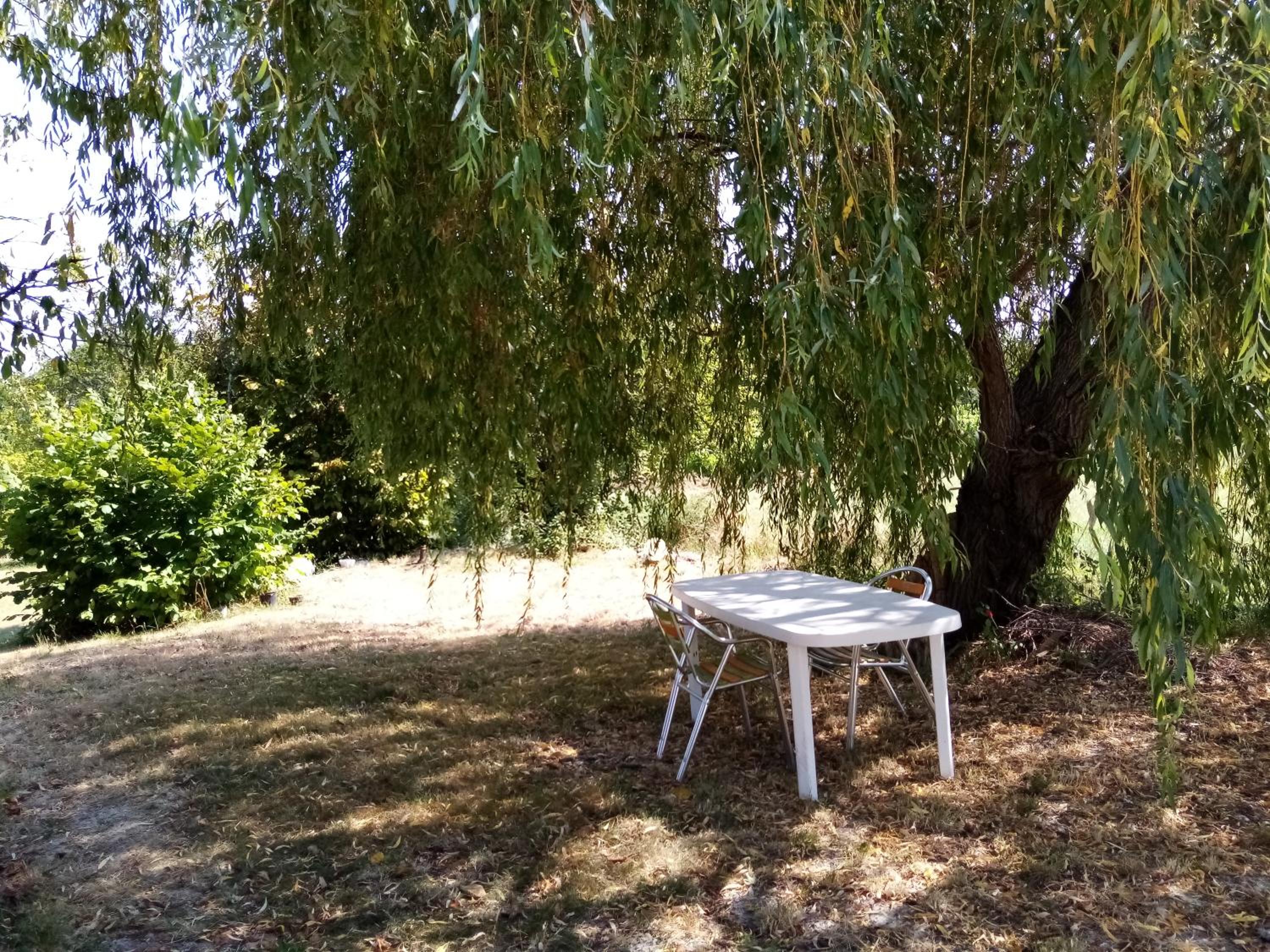 Photo 16