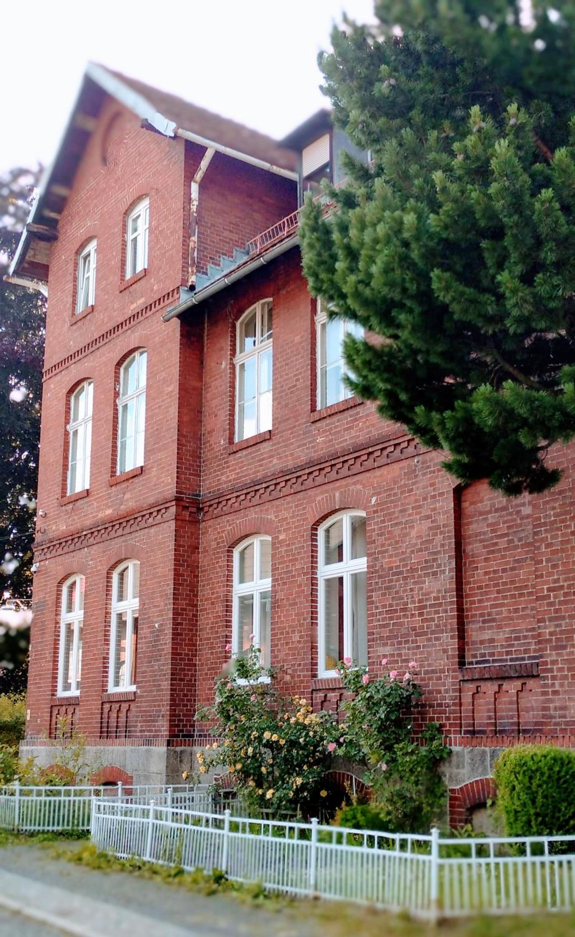 Photo 11