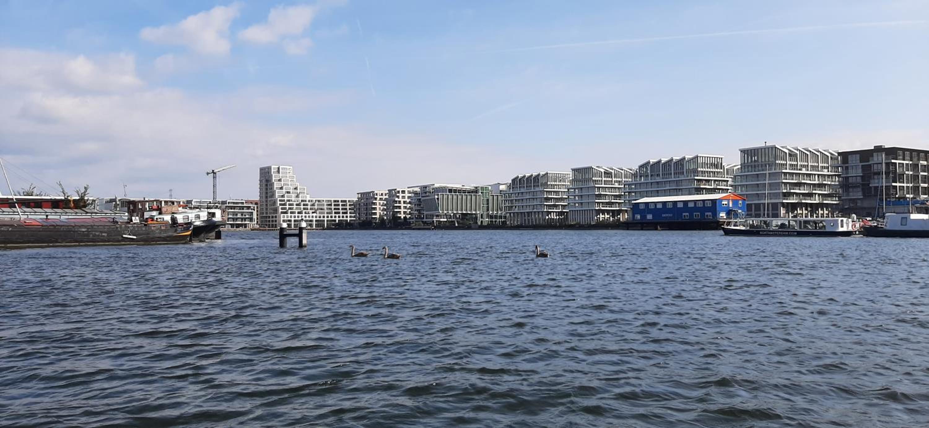 Waterfront Studio