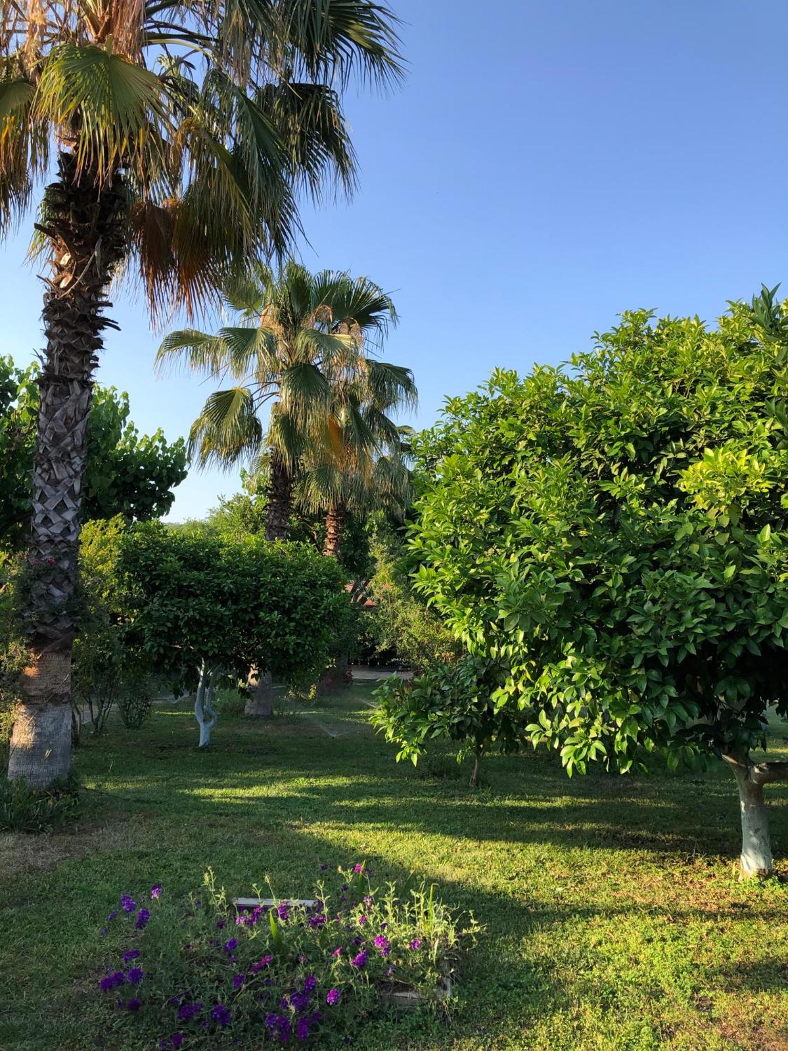 Ozge Bungalow Hotel