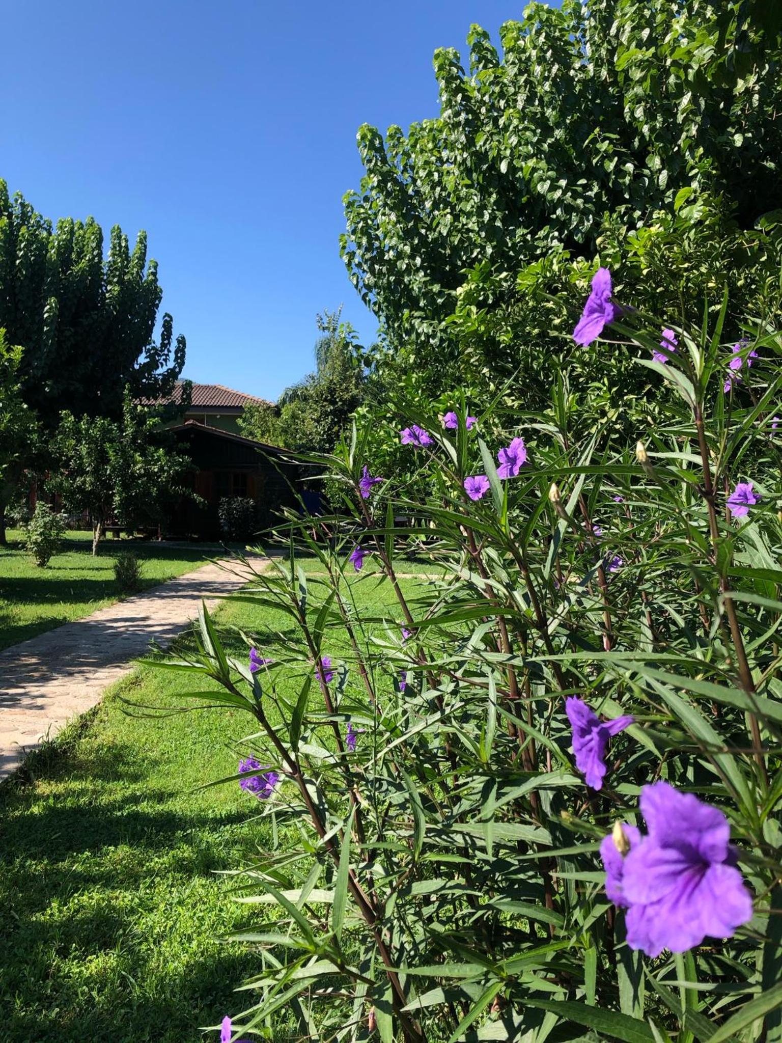 Ozge Bungalow Hotel