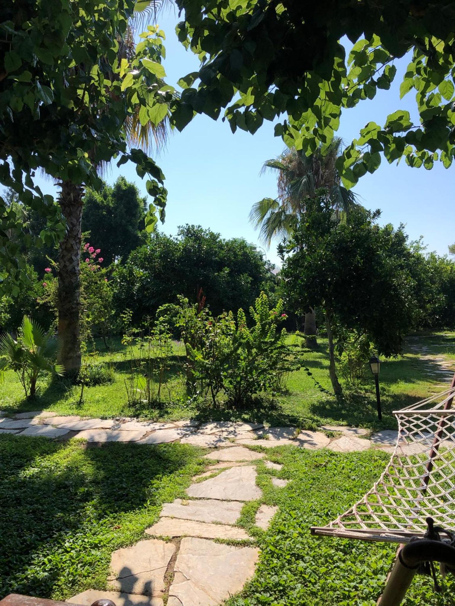 Ozge Bungalow Hotel